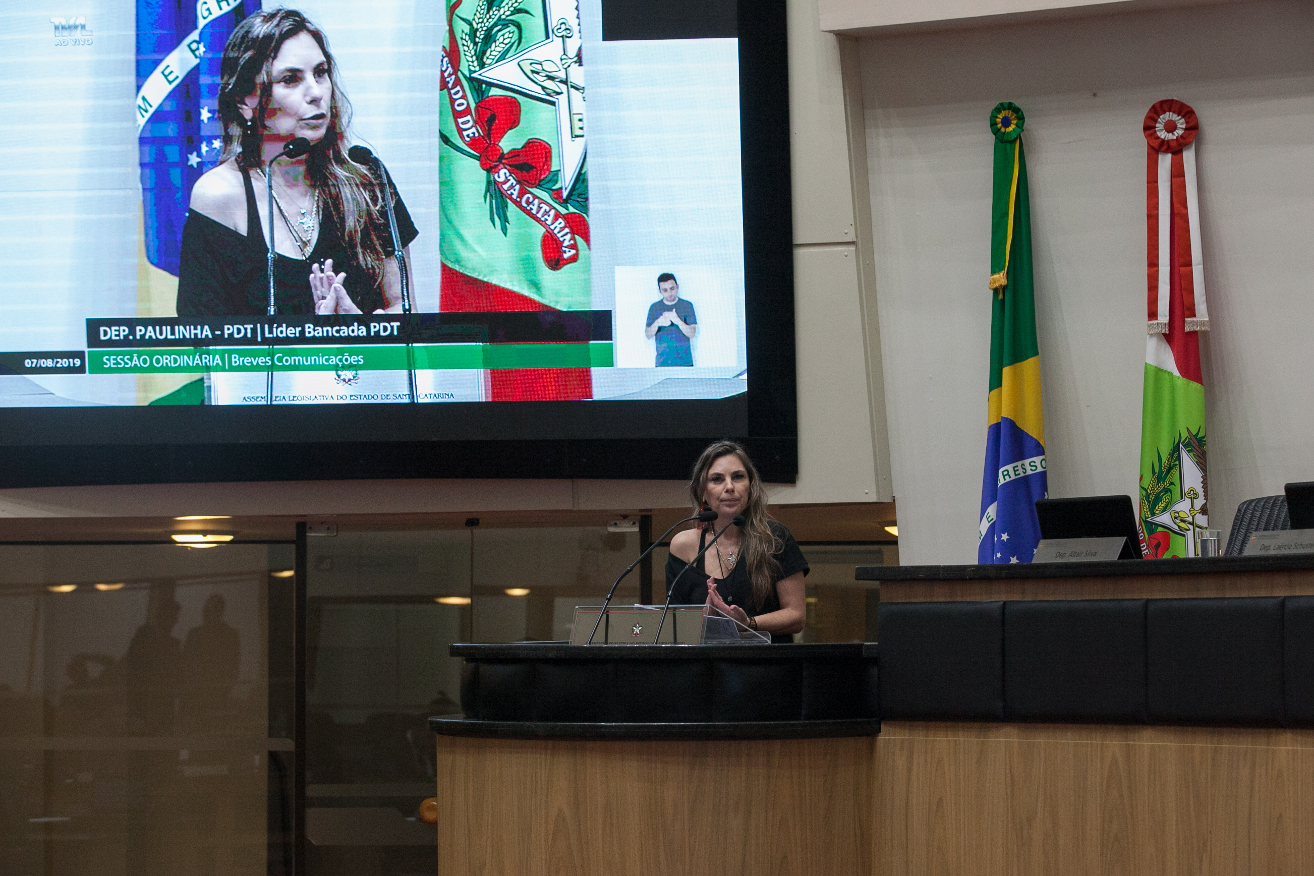 Deputada Paulinha (PDT)