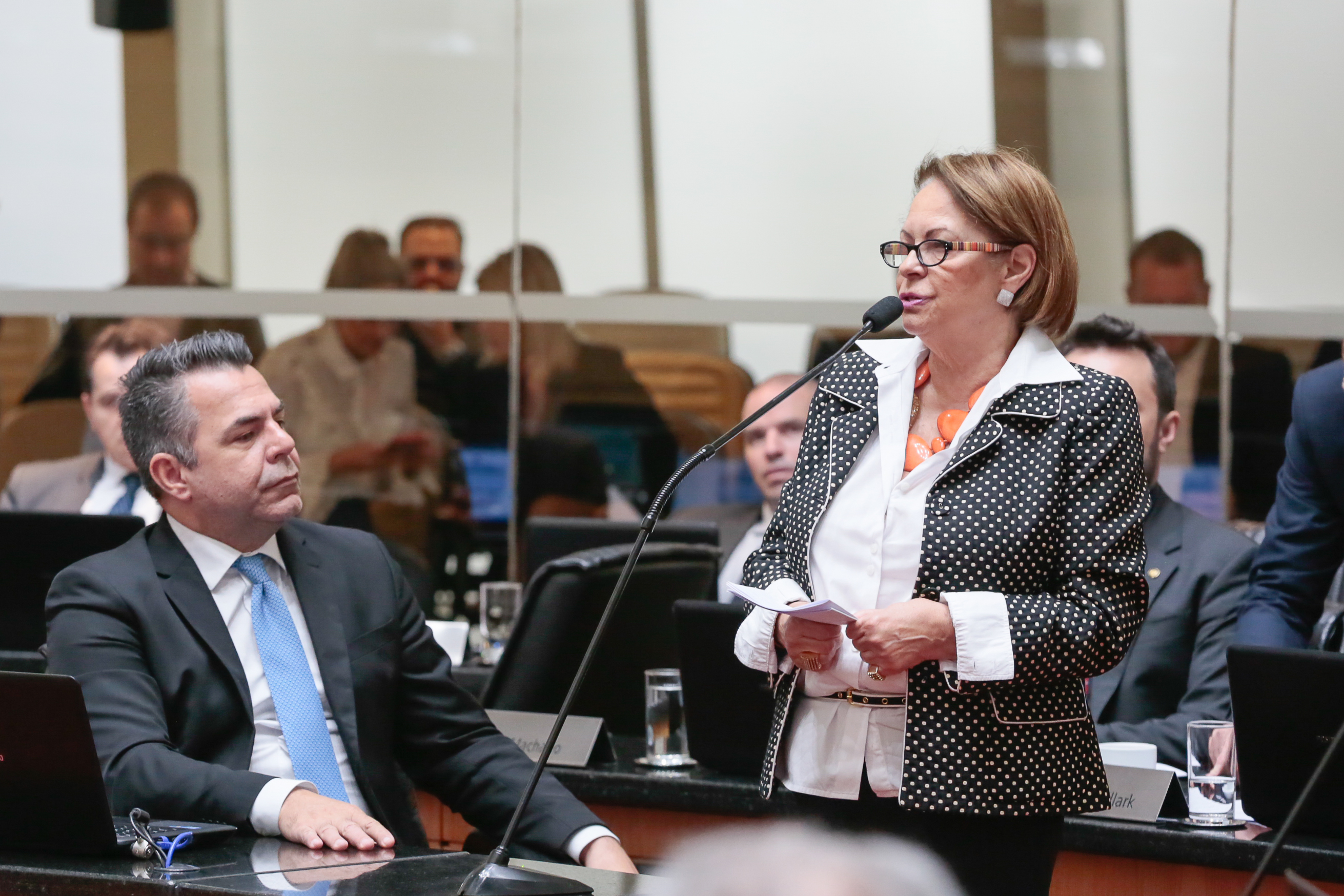 SESSÃO ORDINÁRIA – parte 2