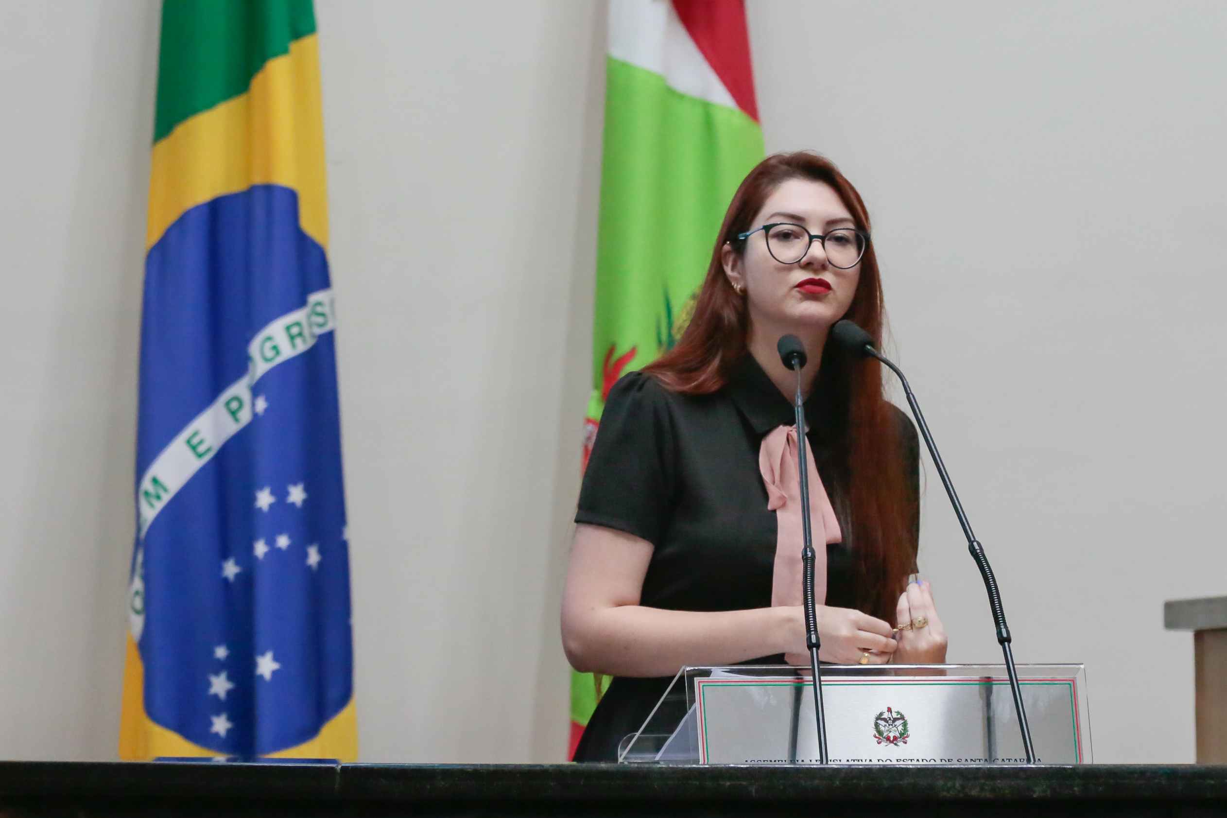 Sessão Ordinária - Deputada Ana Campagnolo (PSL)