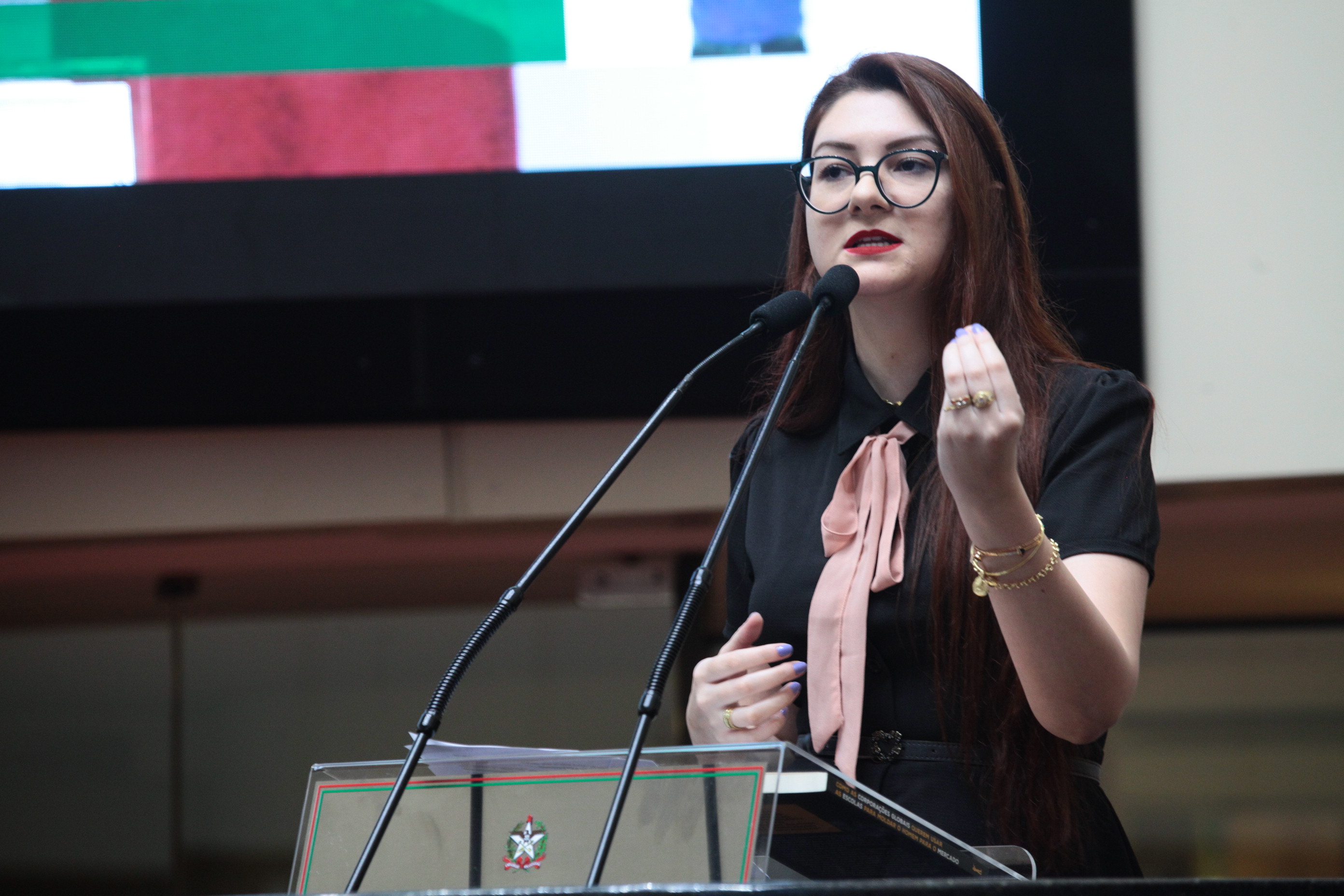 Sessão Ordinária - Deputada Ana Caroline Campagnolo (PSL)