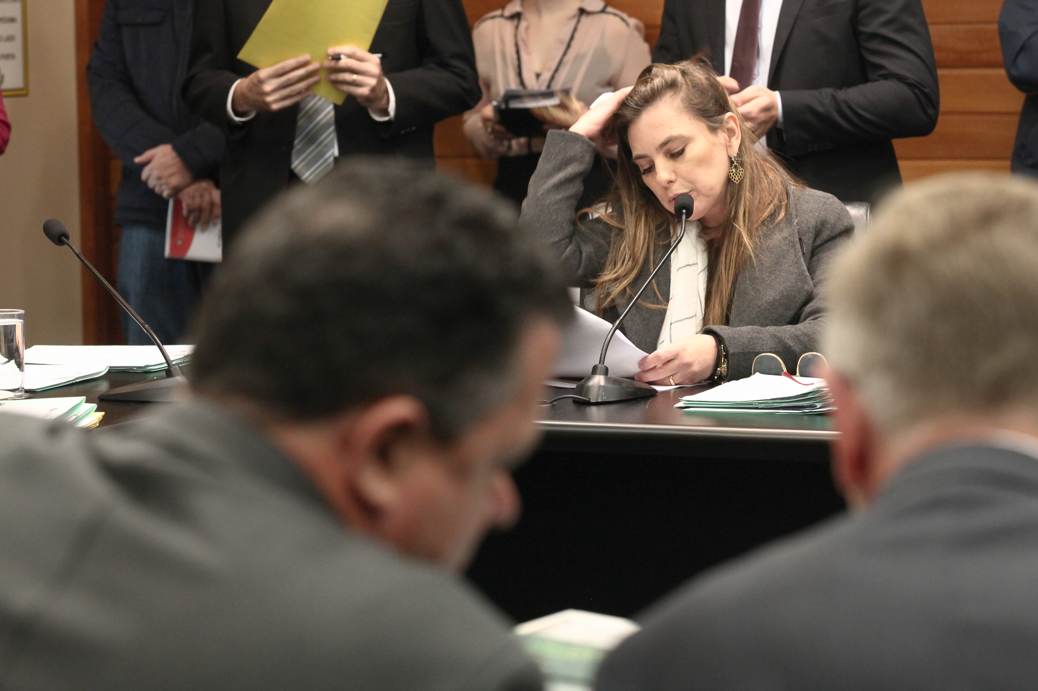 Comissão de Constituição e Justiça Deputada Ana Paula da Silva (PDT)
