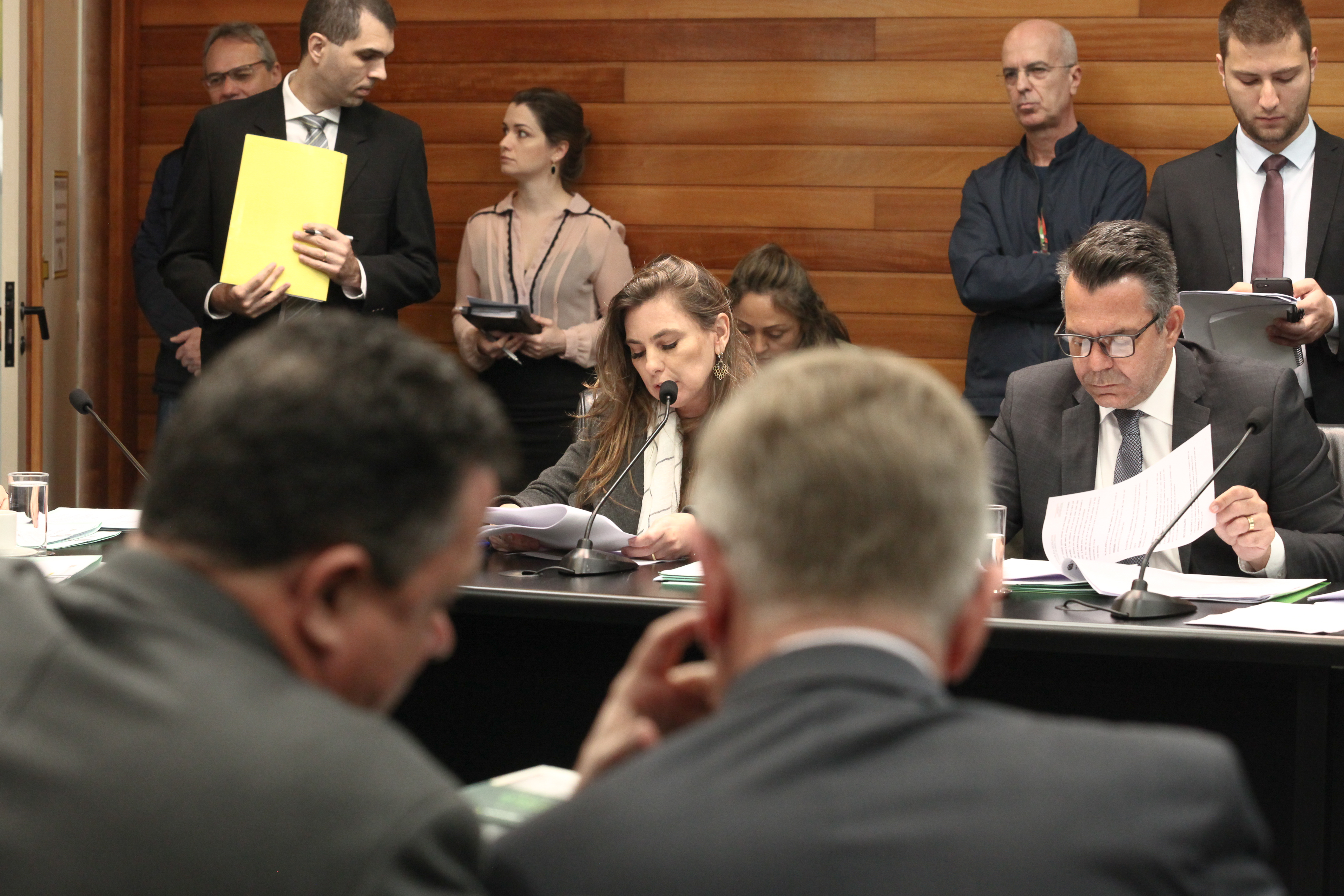 Comissão de Constituição e Justiça Deputada Ana Paula da Silva (PDT)