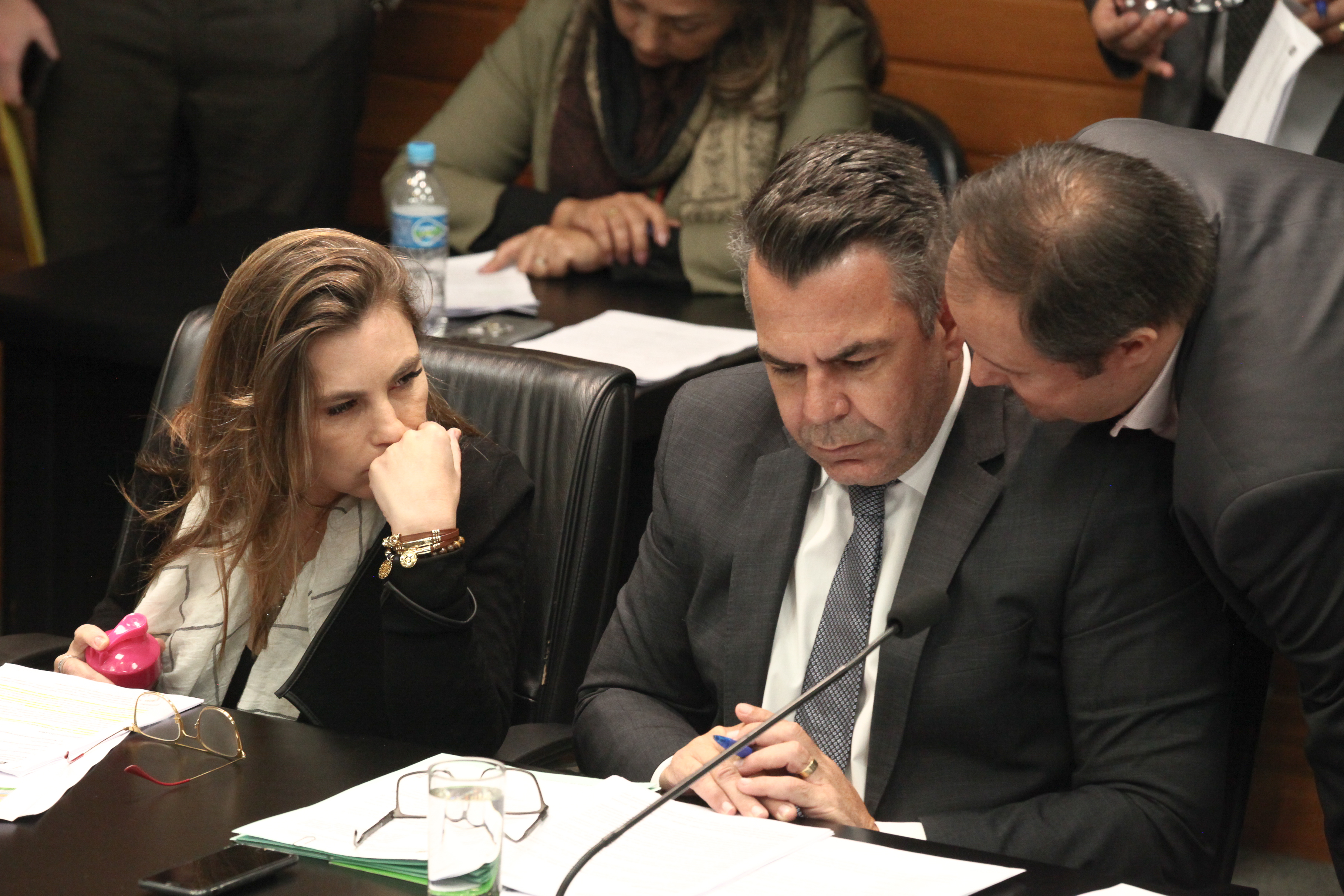 Comissão de Constituição e Justiça Deputado Luiz Fernando Vampiro  (MDB) e Deputada Ana Paula da Silva (PDT)