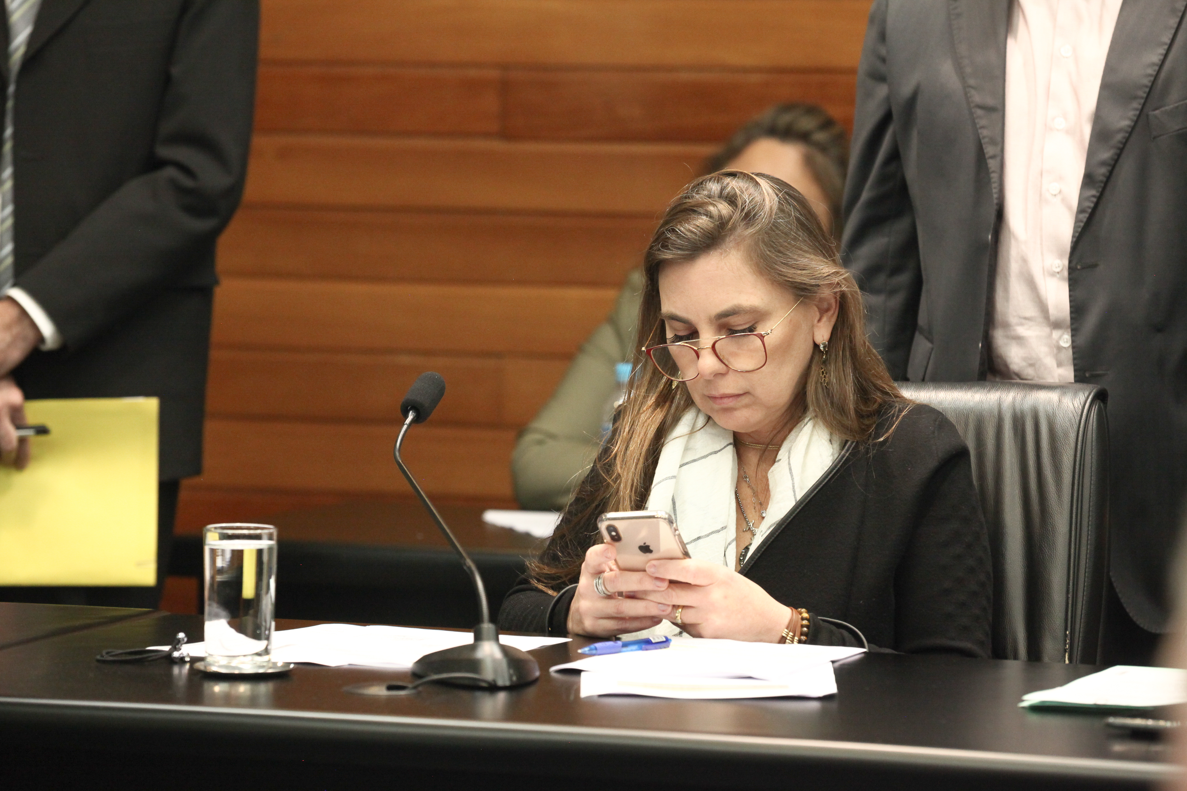 Comissão de Constituição e Justiça Deputada Ana Paula da Silva (PDT)