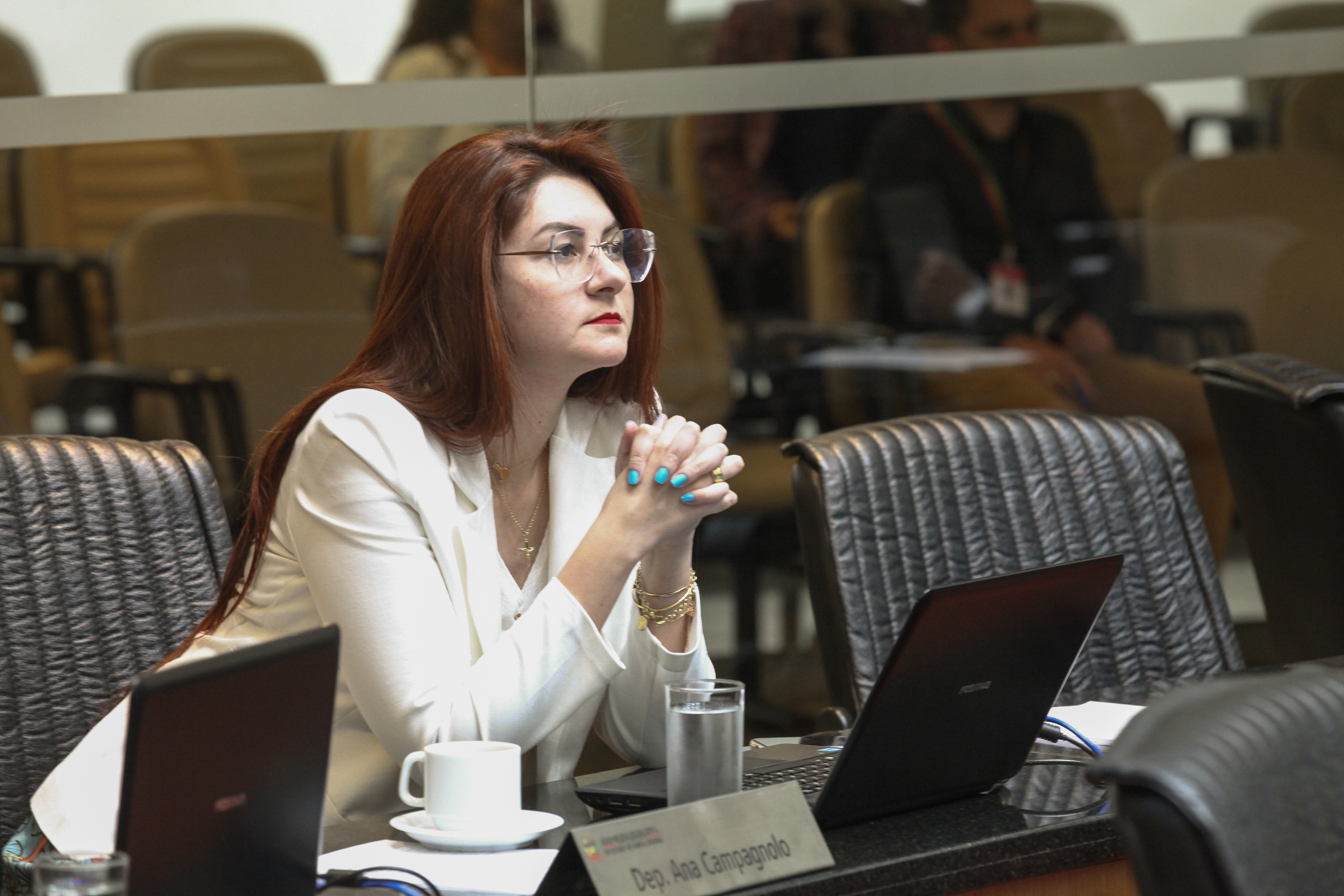 Sessão Ordinária - Deputada Ana Paula Campagnolo (PSL)