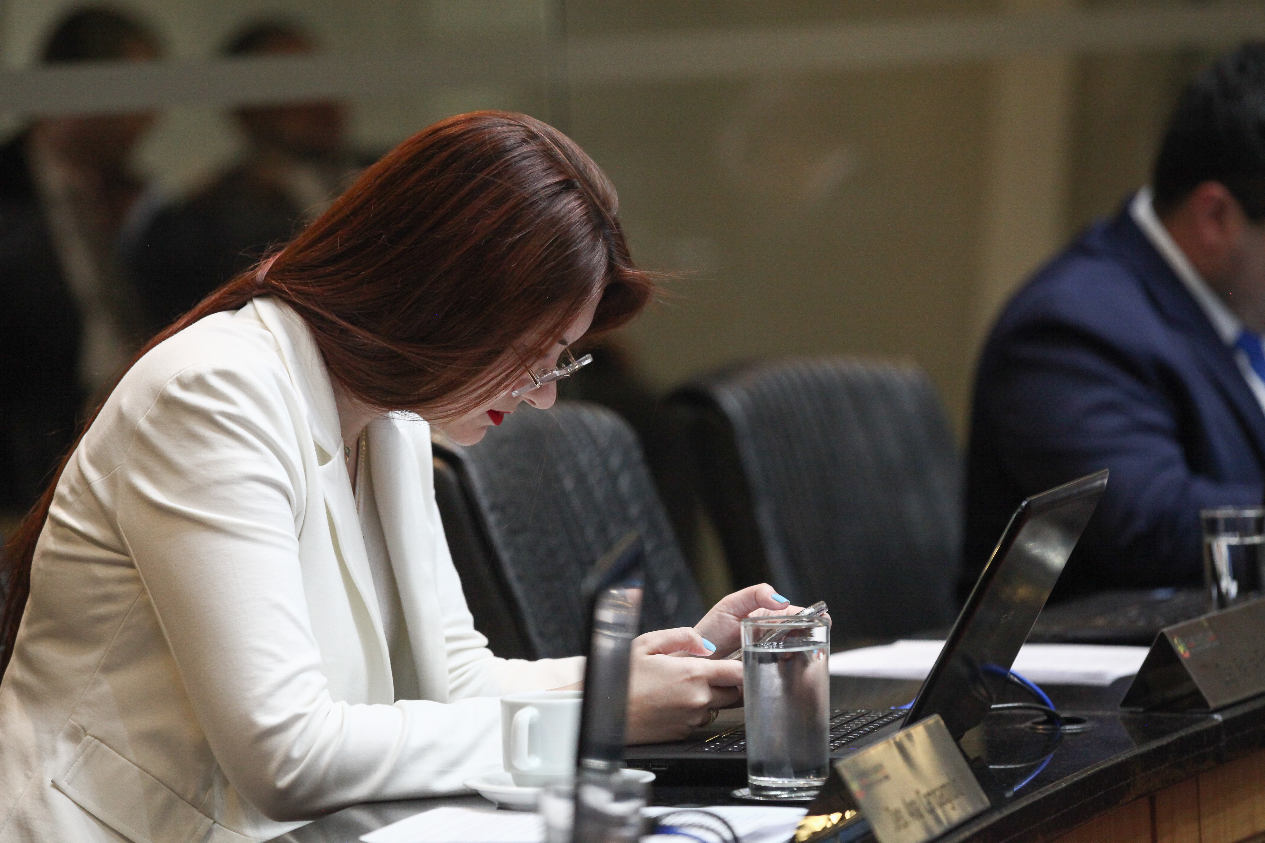 Sessão Ordinária - Deputada Ana Paula Campagnolo (PSL)