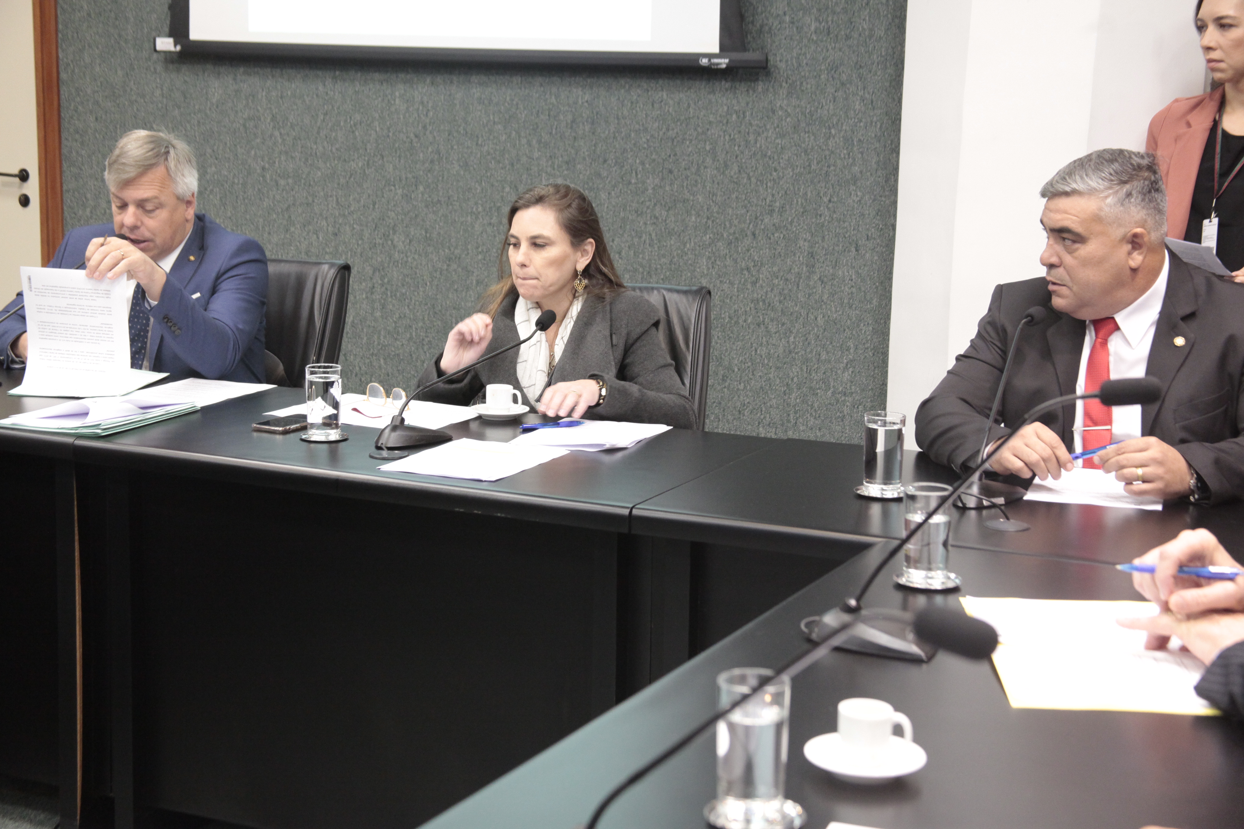 Comissão de Trabalho Administração e Serviço Público