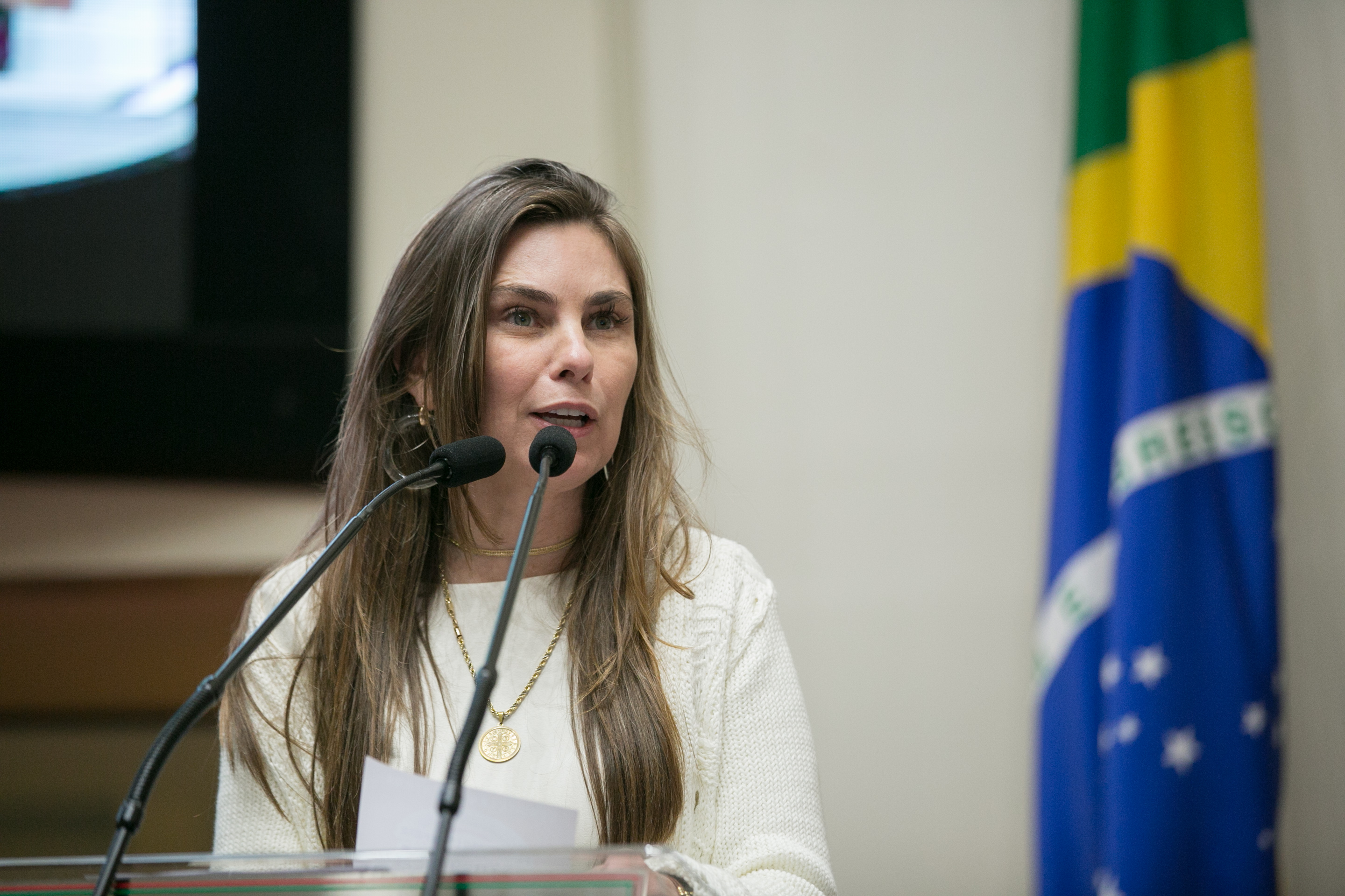 Deputada Paulinha (PDT)