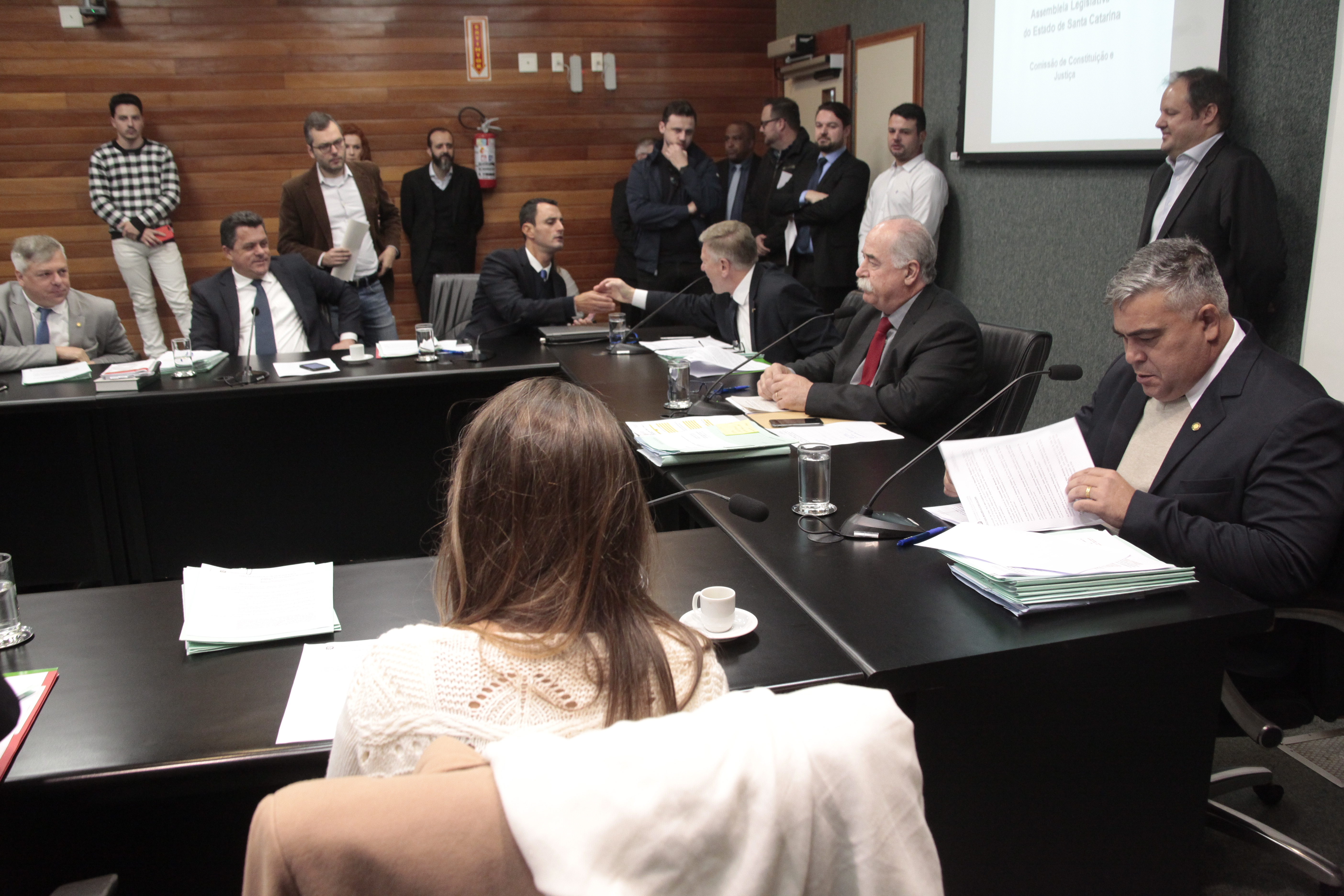 Comissão de Constituição e Justiça
