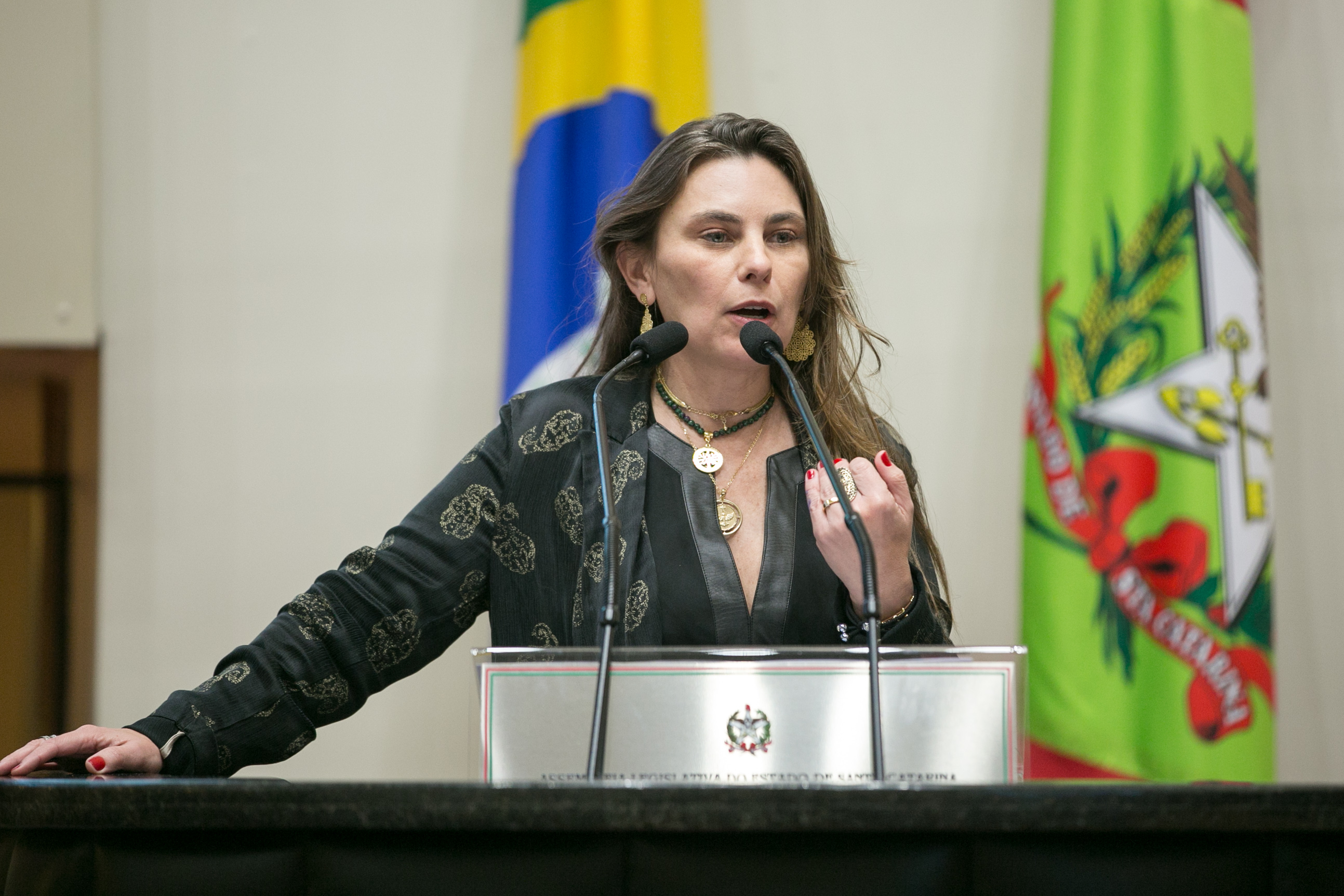 Deputada Paulinha (PDT)