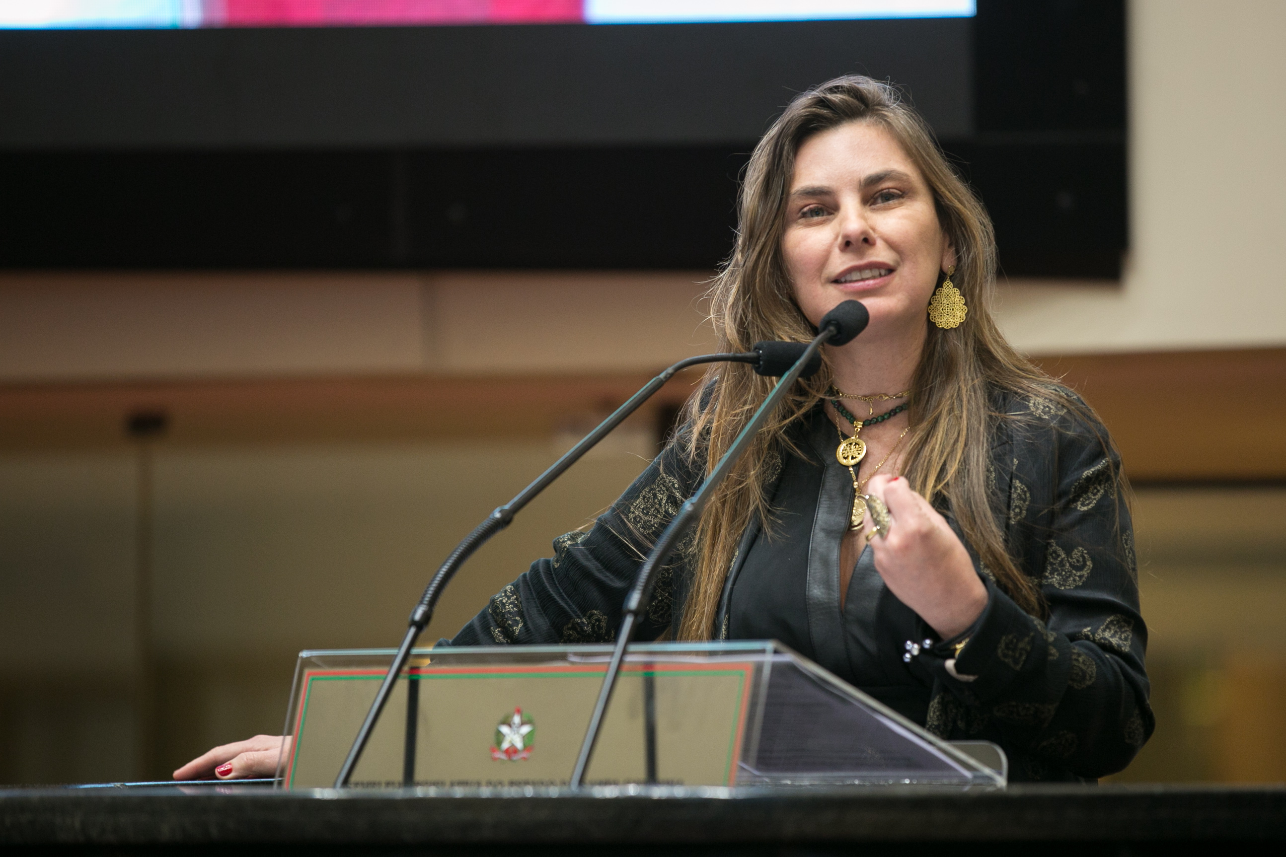 Deputada Paulinha (PDT)
