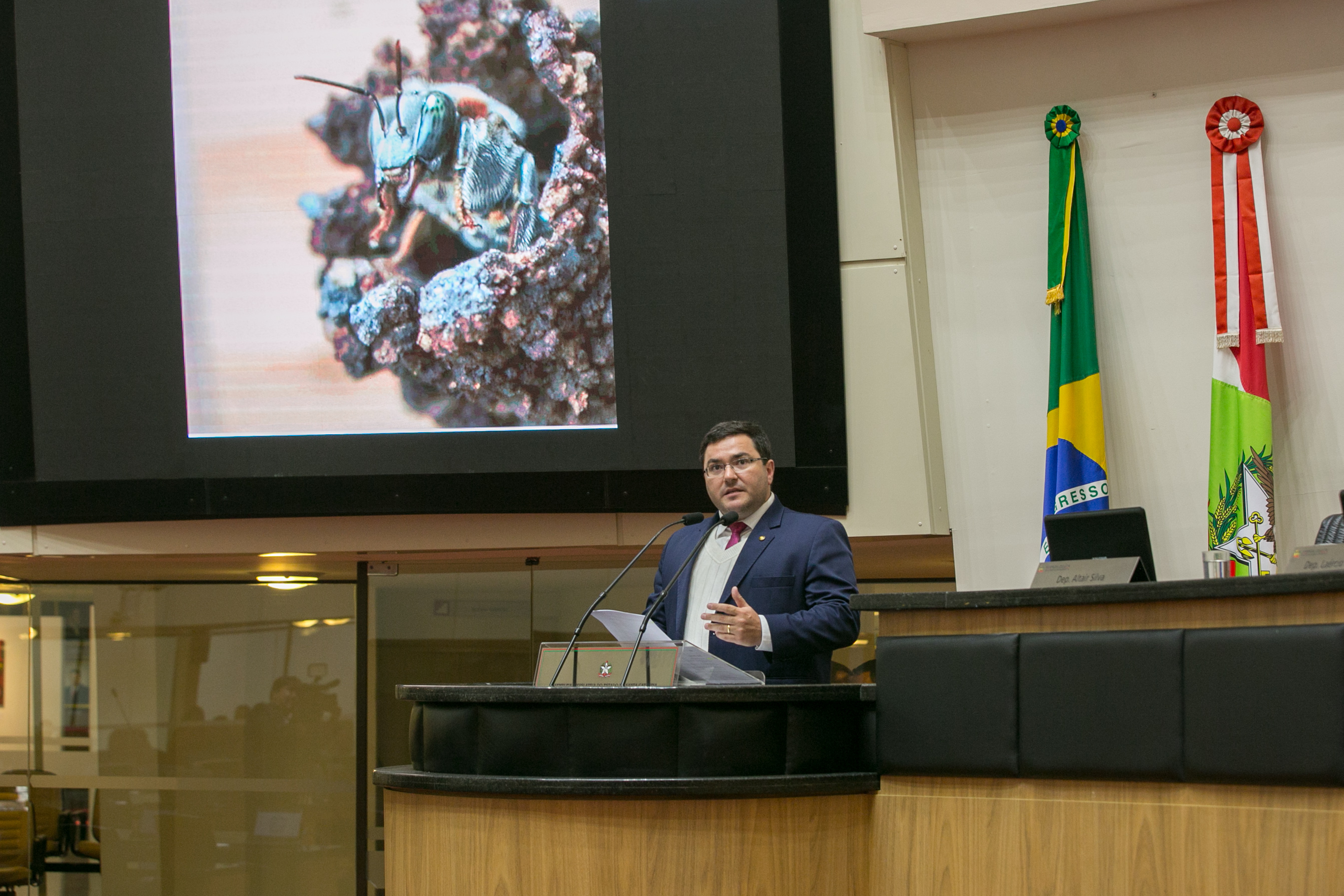 Deputado Ricardo Alba (PSL)