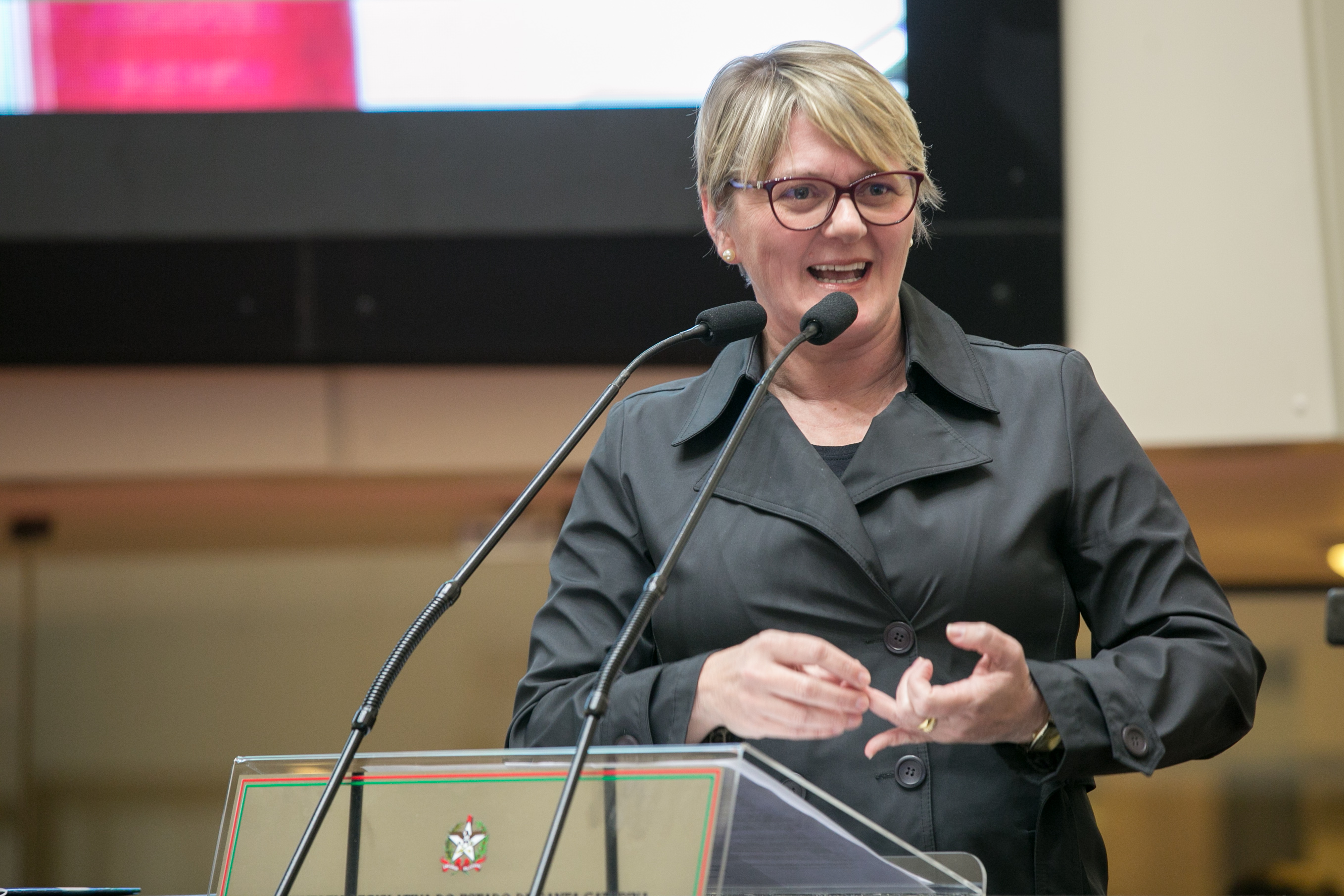 Deputada Luciane Carminatti (PT)