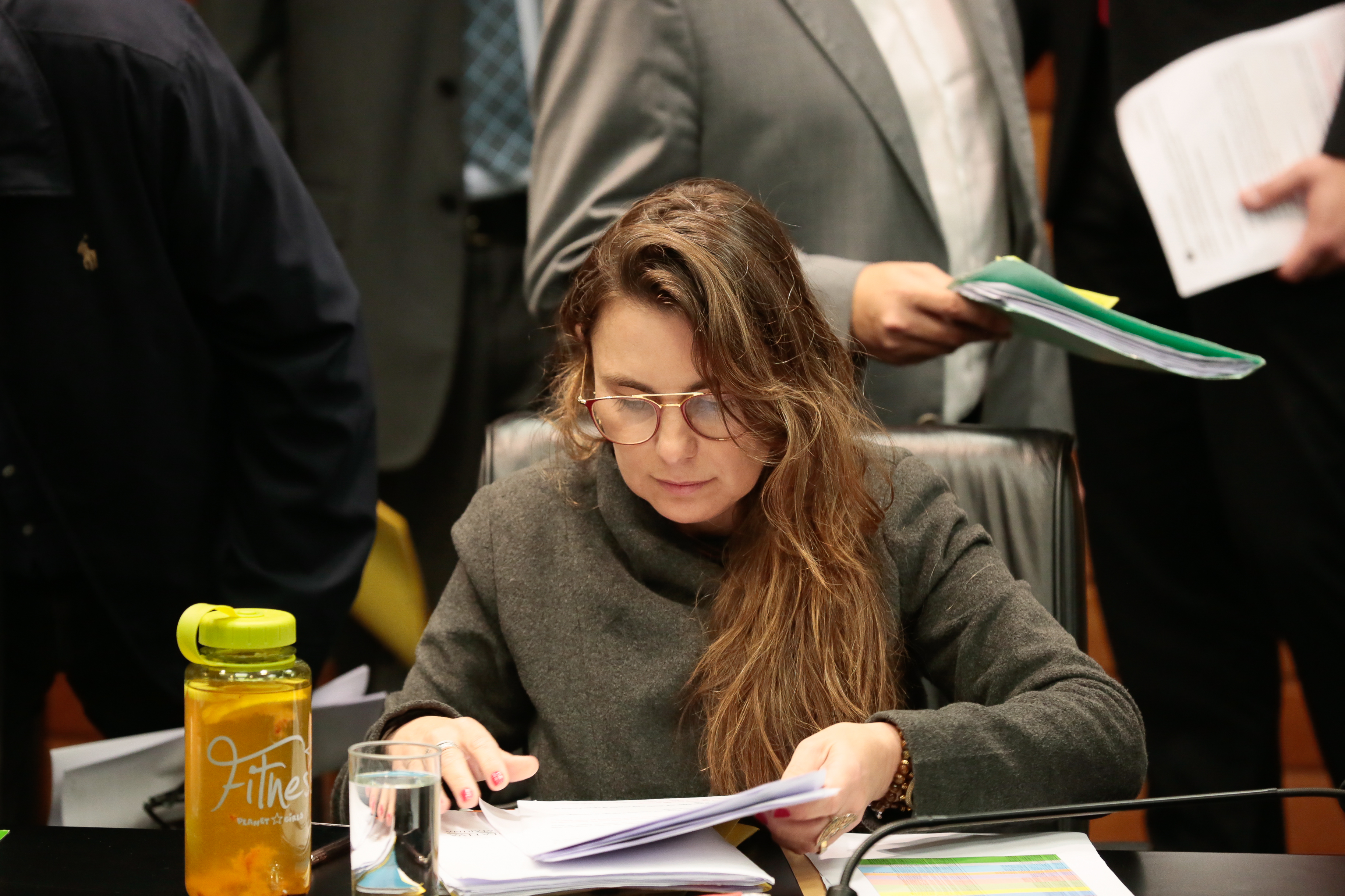 Comissão de Constituição e Justiça - Deputada Paulinha (PDT)