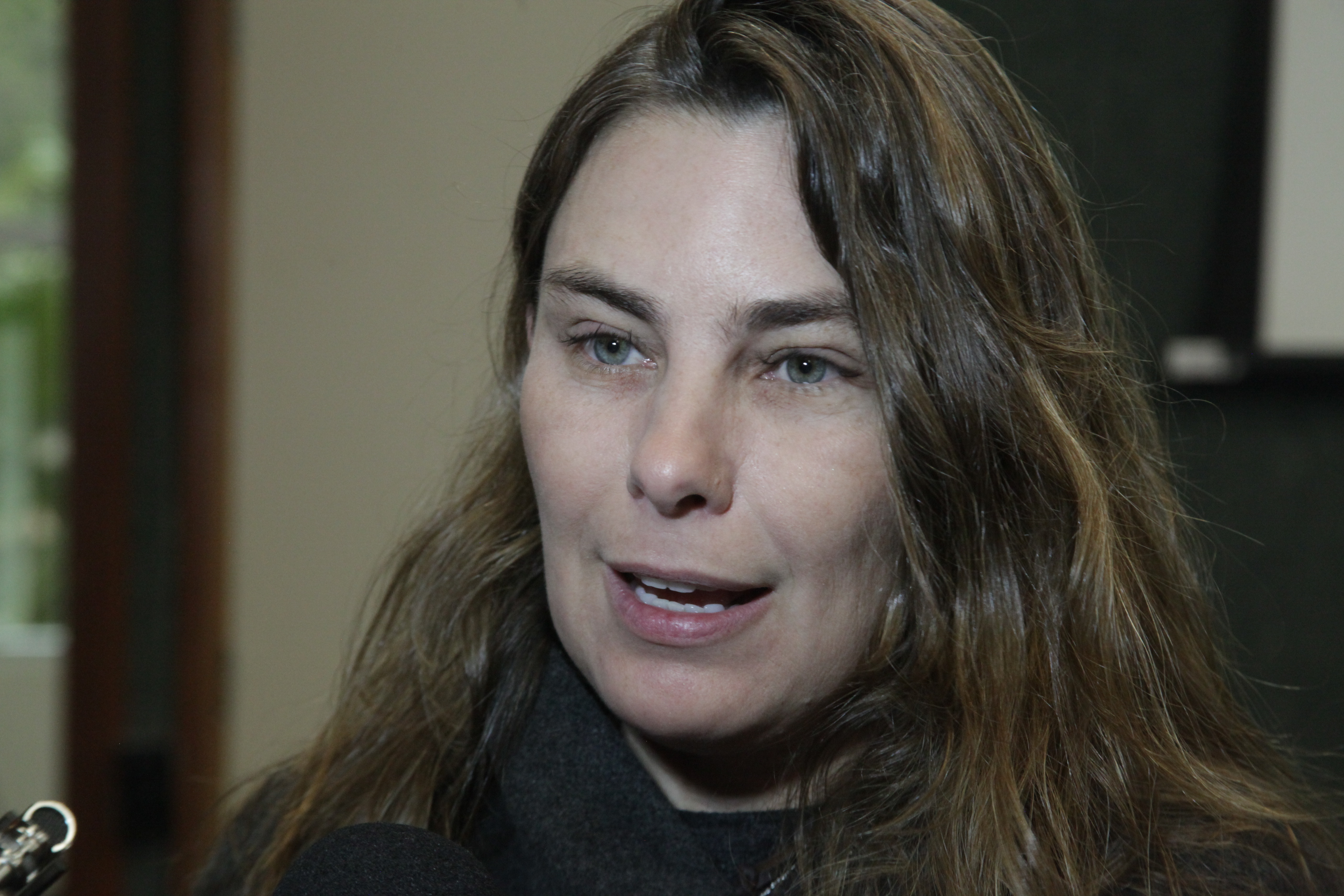 - Deputada Ana Paula da Silva (PDT)