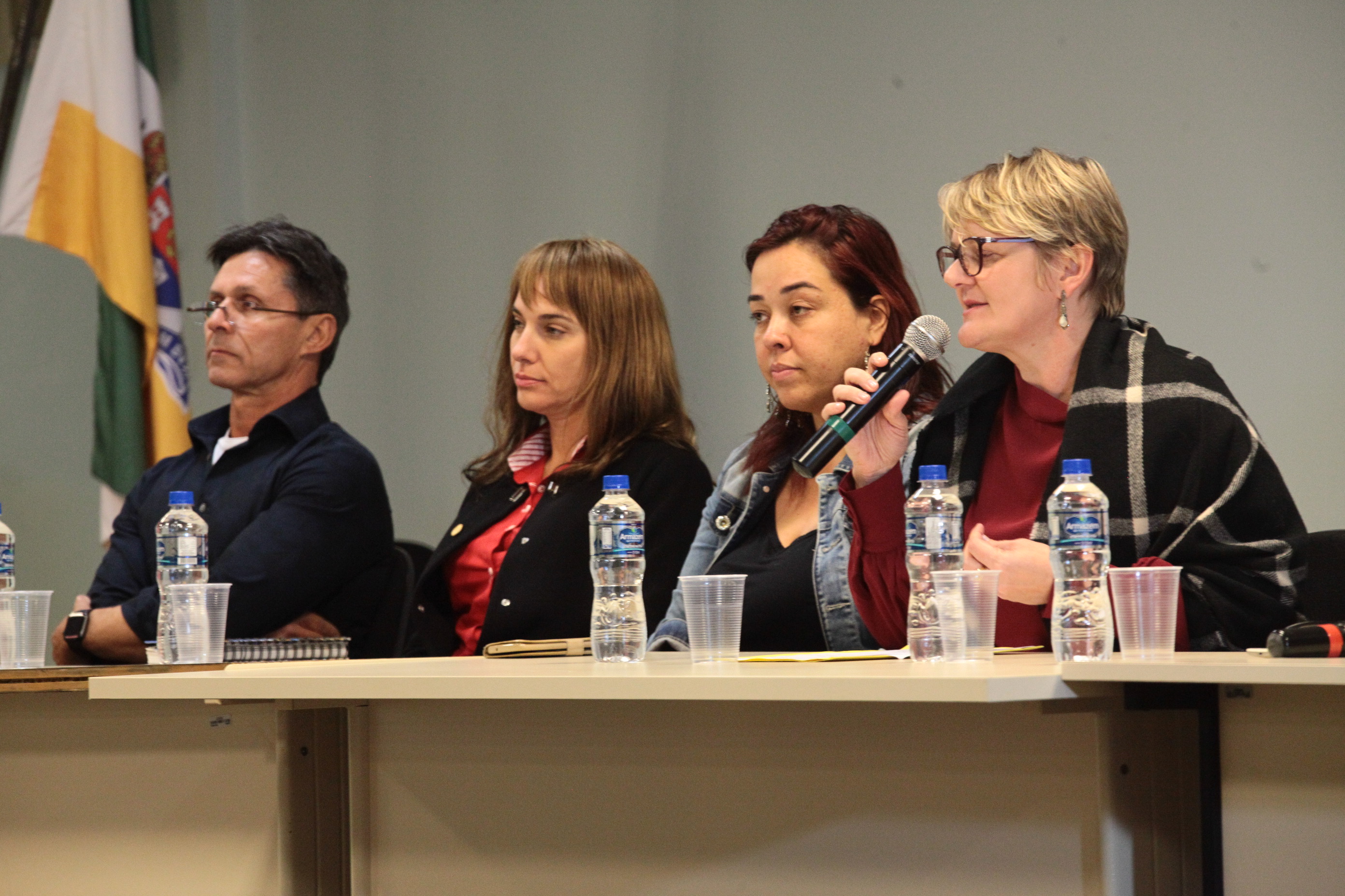 Audiência Pública sobre o Sistema de Cultura e Patrimônio Cultura
