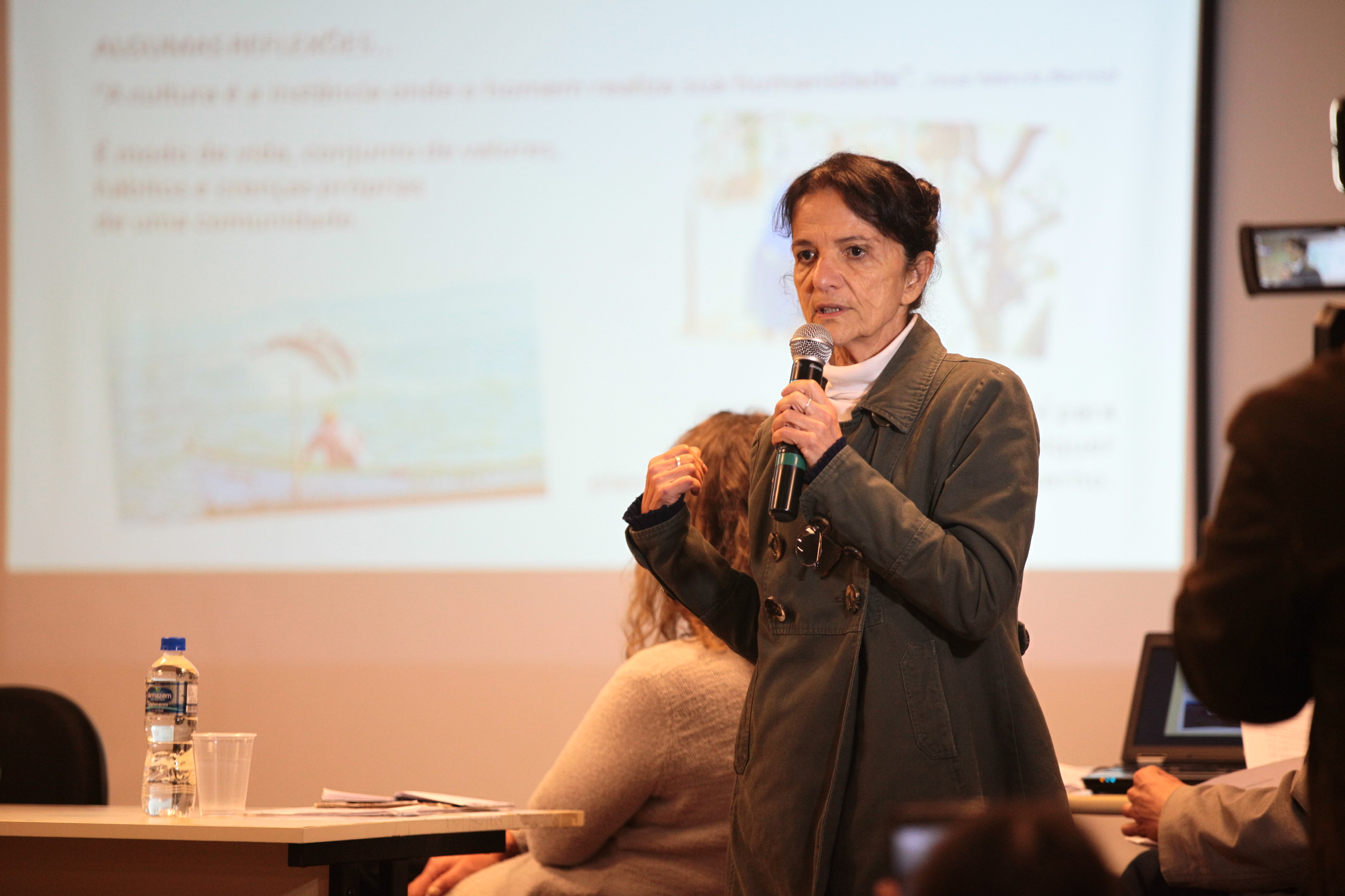 Audiência Pública sobre o Sistema de Cultura e Patrimônio Cultura - Rea Silvia Barbosa , consultora em Gestão Cultural