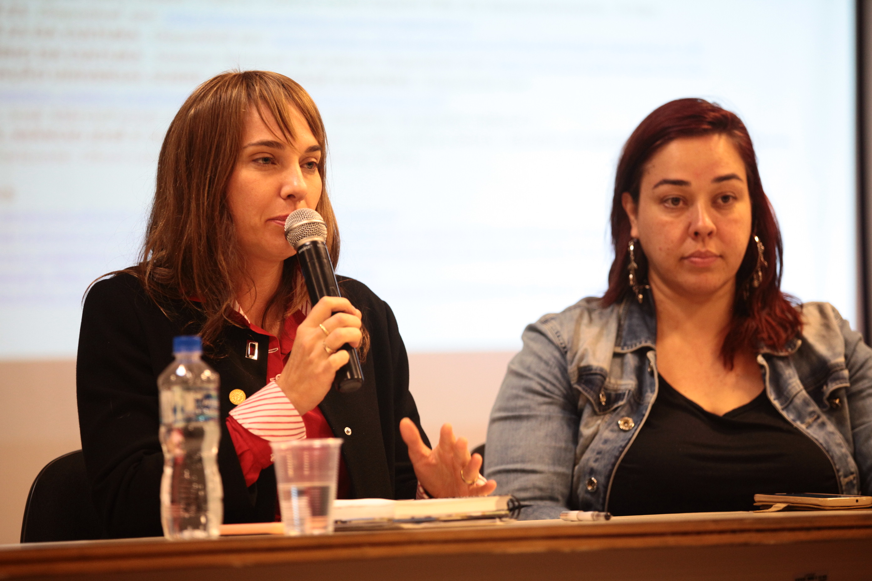 Audiência Pública sobre o Sistema de Cultura e Patrimônio Cultura - Liliane Nizolla (IPHAN)