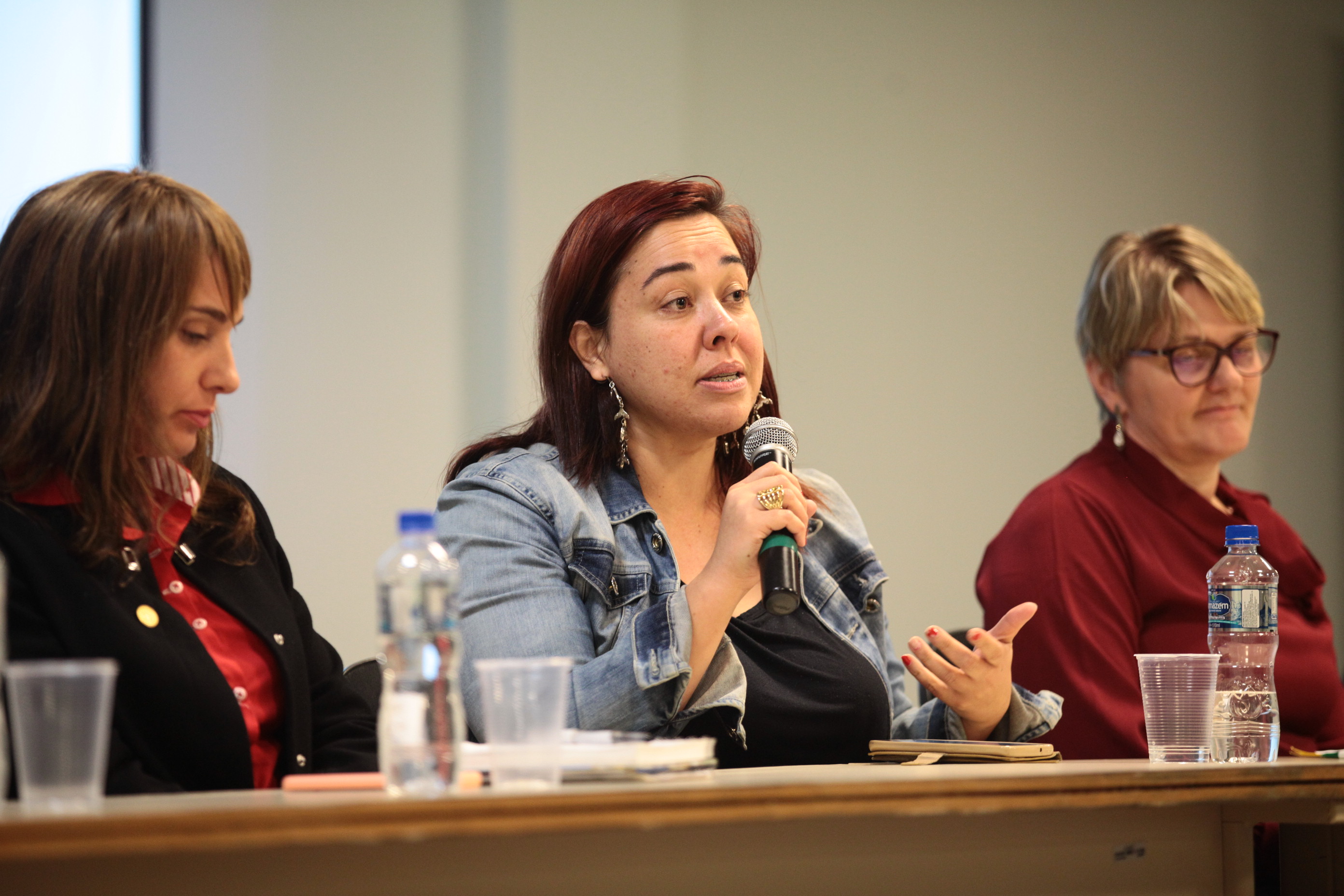 Audiência Pública sobre o Sistema de Cultura e Patrimônio Cultura - Mirela de Jesus Honorato