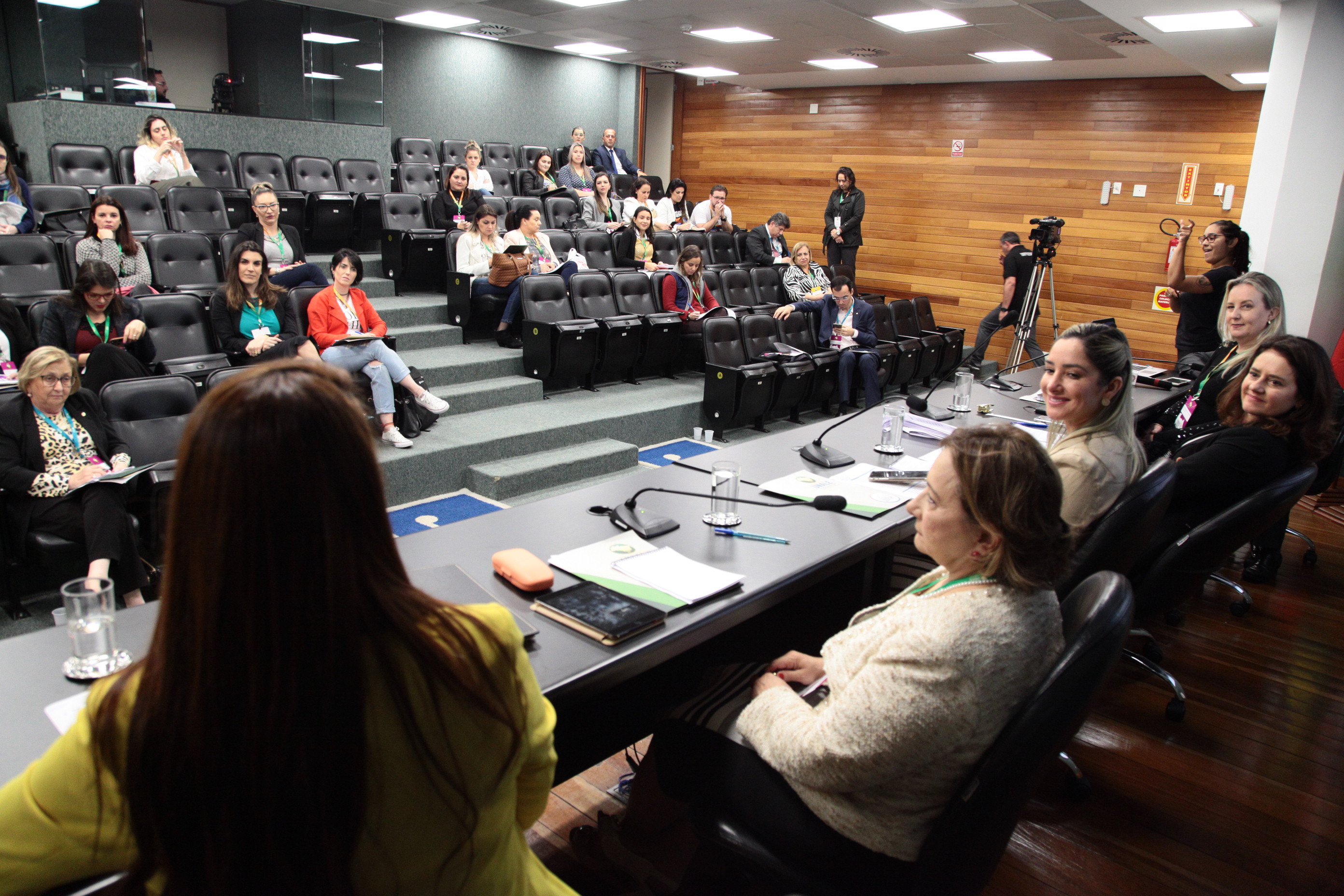 UNALE - Grupo de Trabalho sobre Violência contra a Mulher