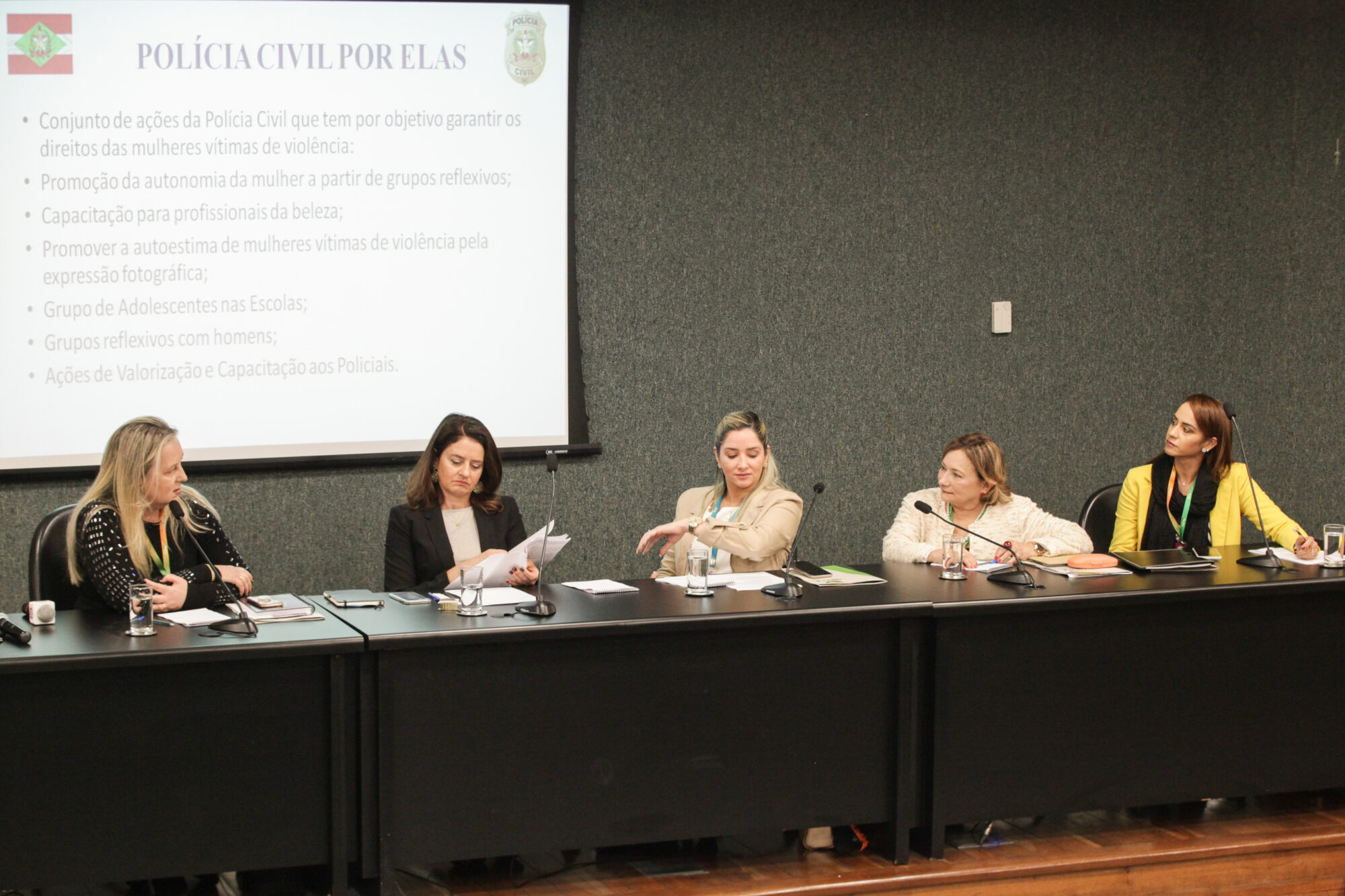 Estratégias de combate à violência contra a mulher são debatidas na Alesc