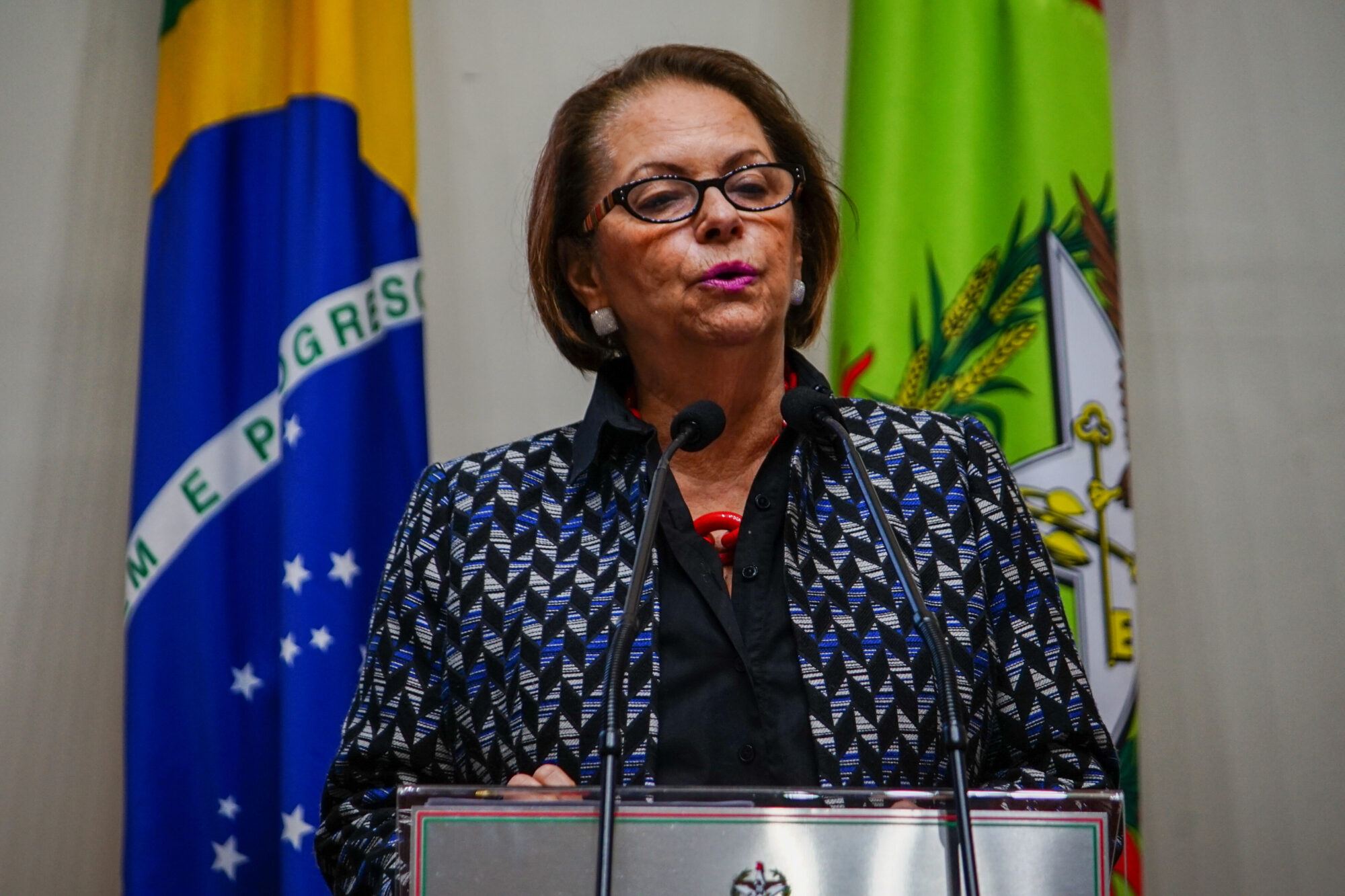 Deputada Ada de Luca (MDB).