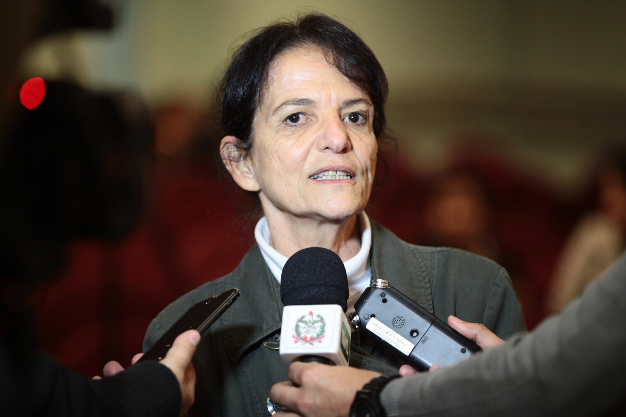 Rea Silvia Barbosa, consultora em gestão de cultura.