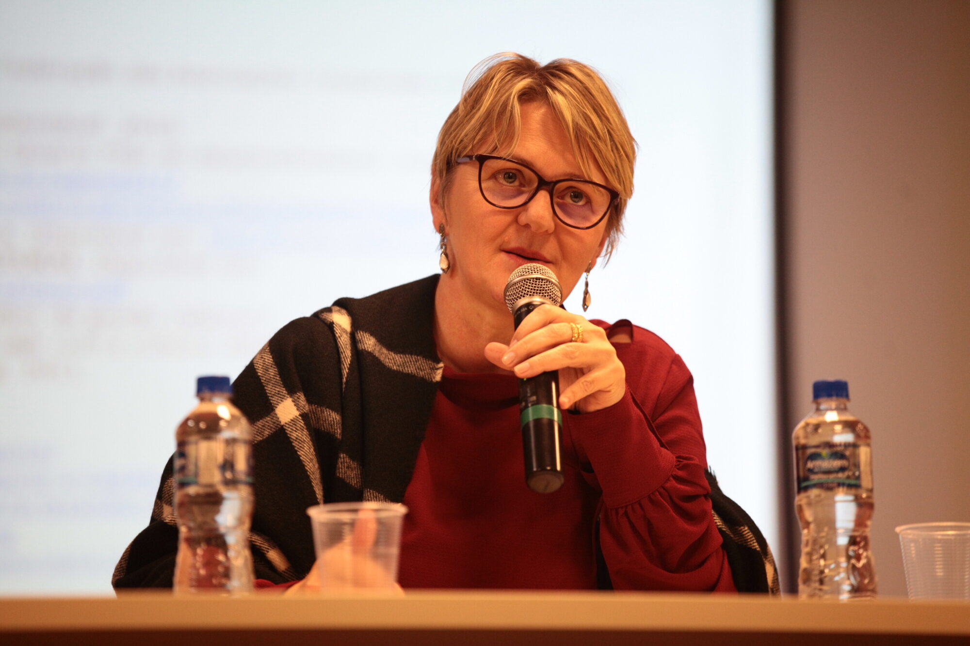 Deputada Luciane Carminatti, presidente da Comissão de Educação, Cultura e Desporto da Assembleia Legislativa.