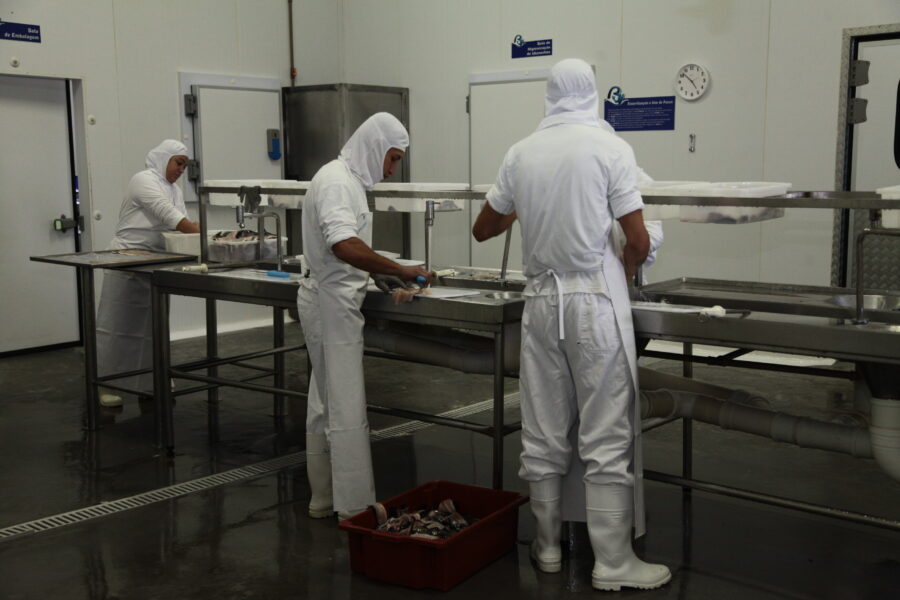 Frigorífico de Vilso Isidoro já possui registro credenciador para exportação