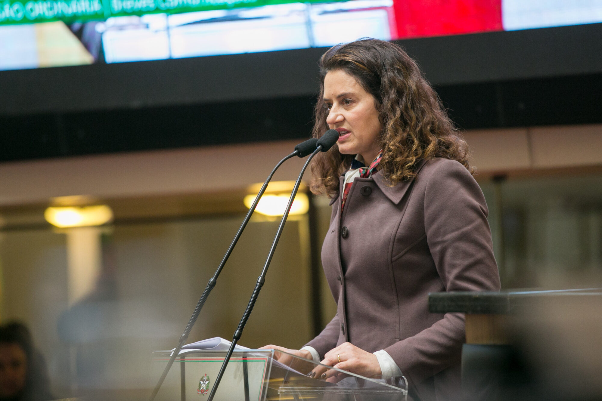 Deputada Marlene Fengler