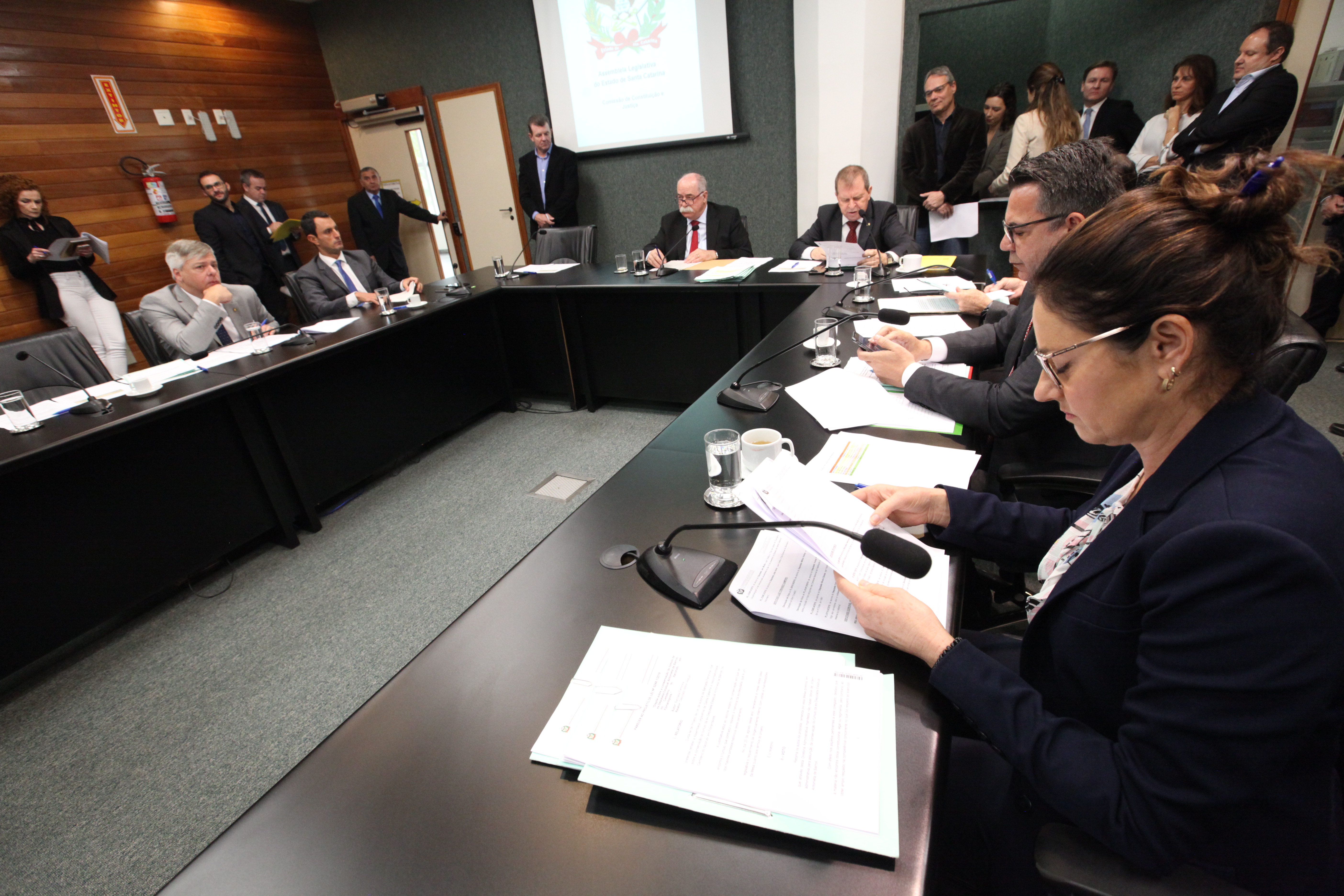 Comissão de Constituição e Justiça