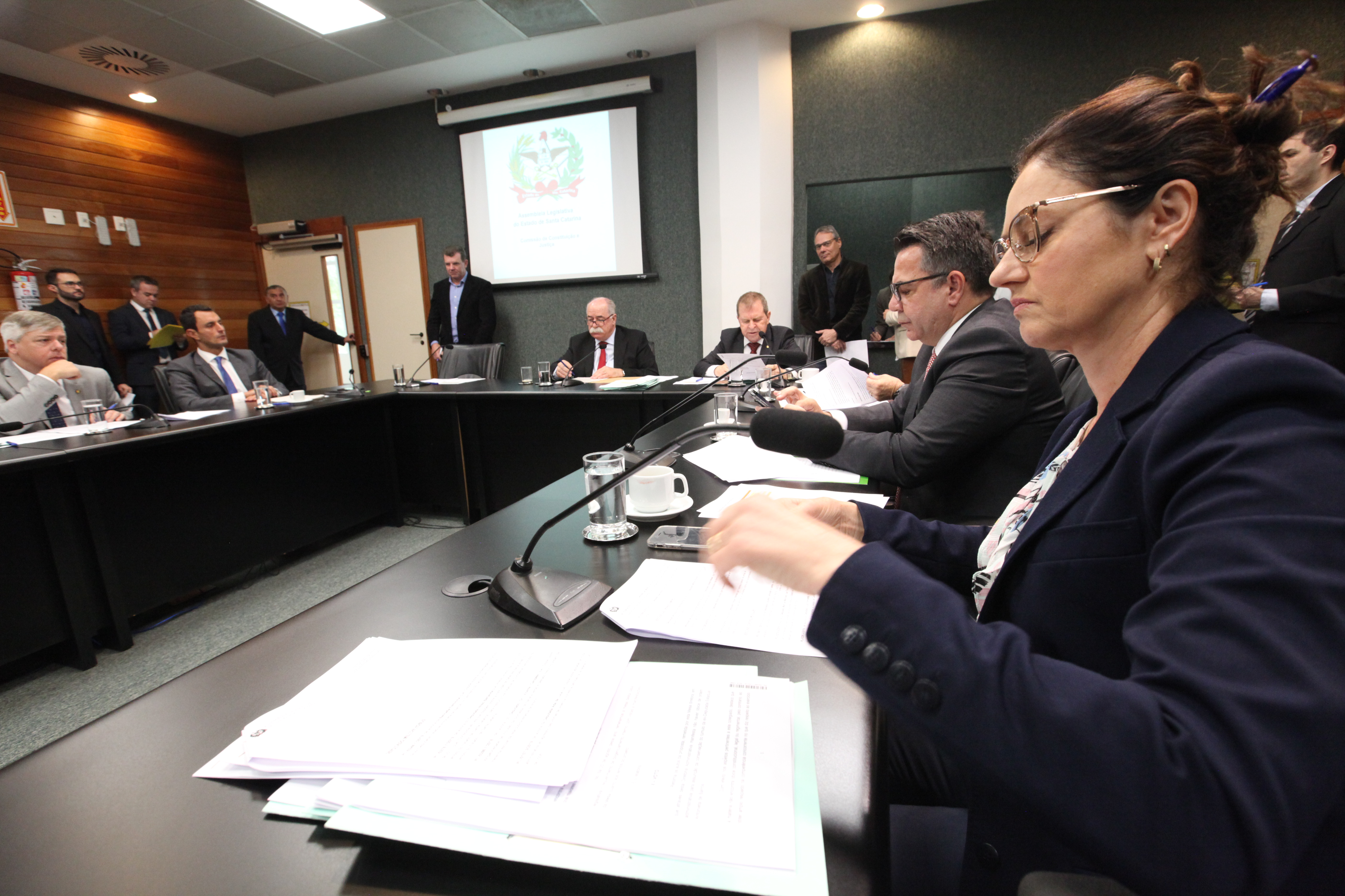 Comissão de Constituição e Justiça