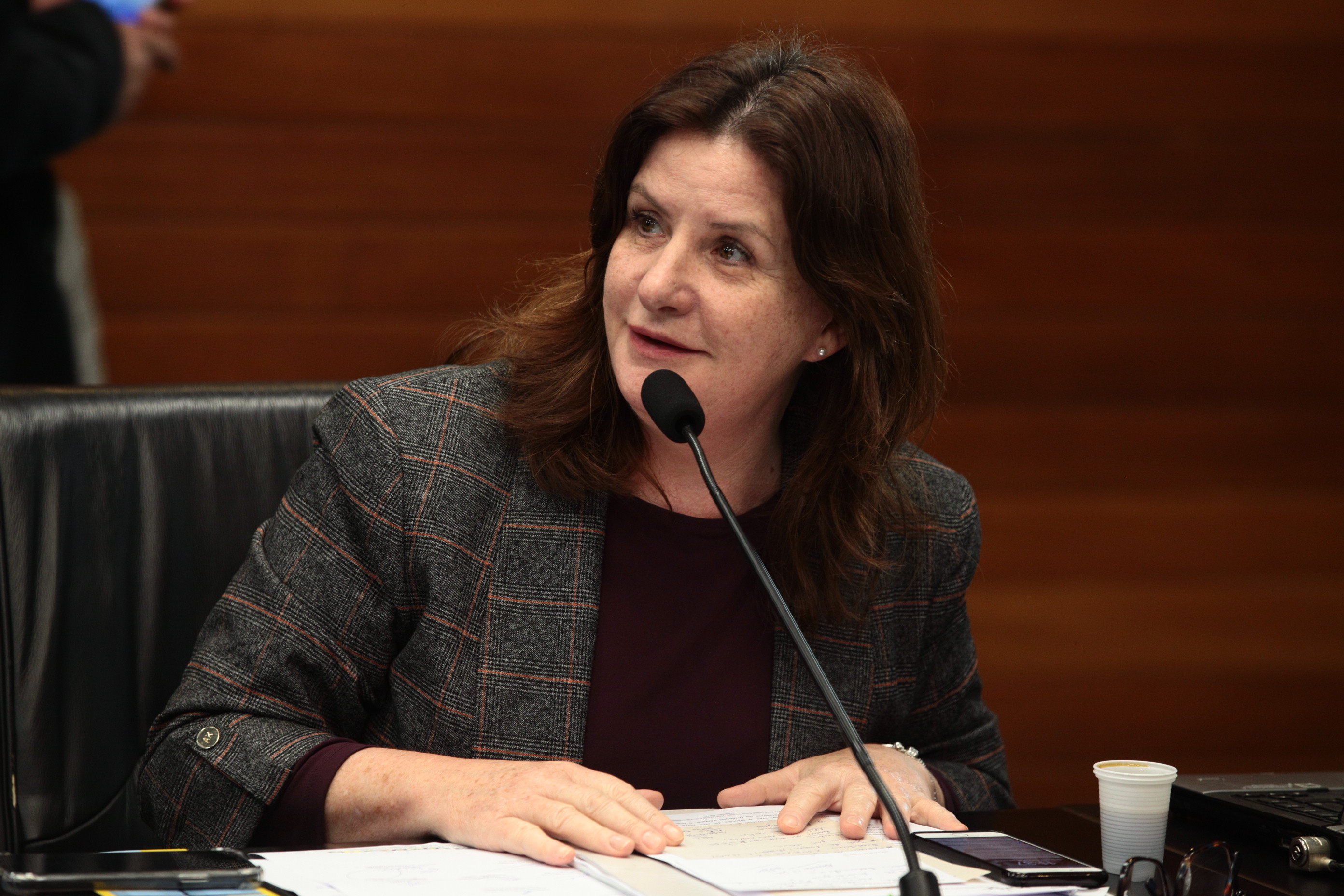 Fórum Parlamentar Catarinense - Deputada Federal Carmem Zanotto