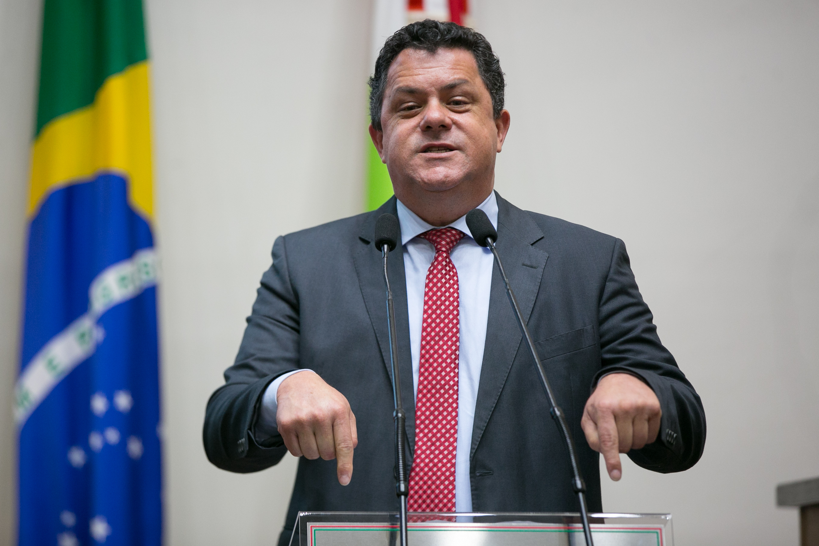 Deputado Ivan Naatz (PV)