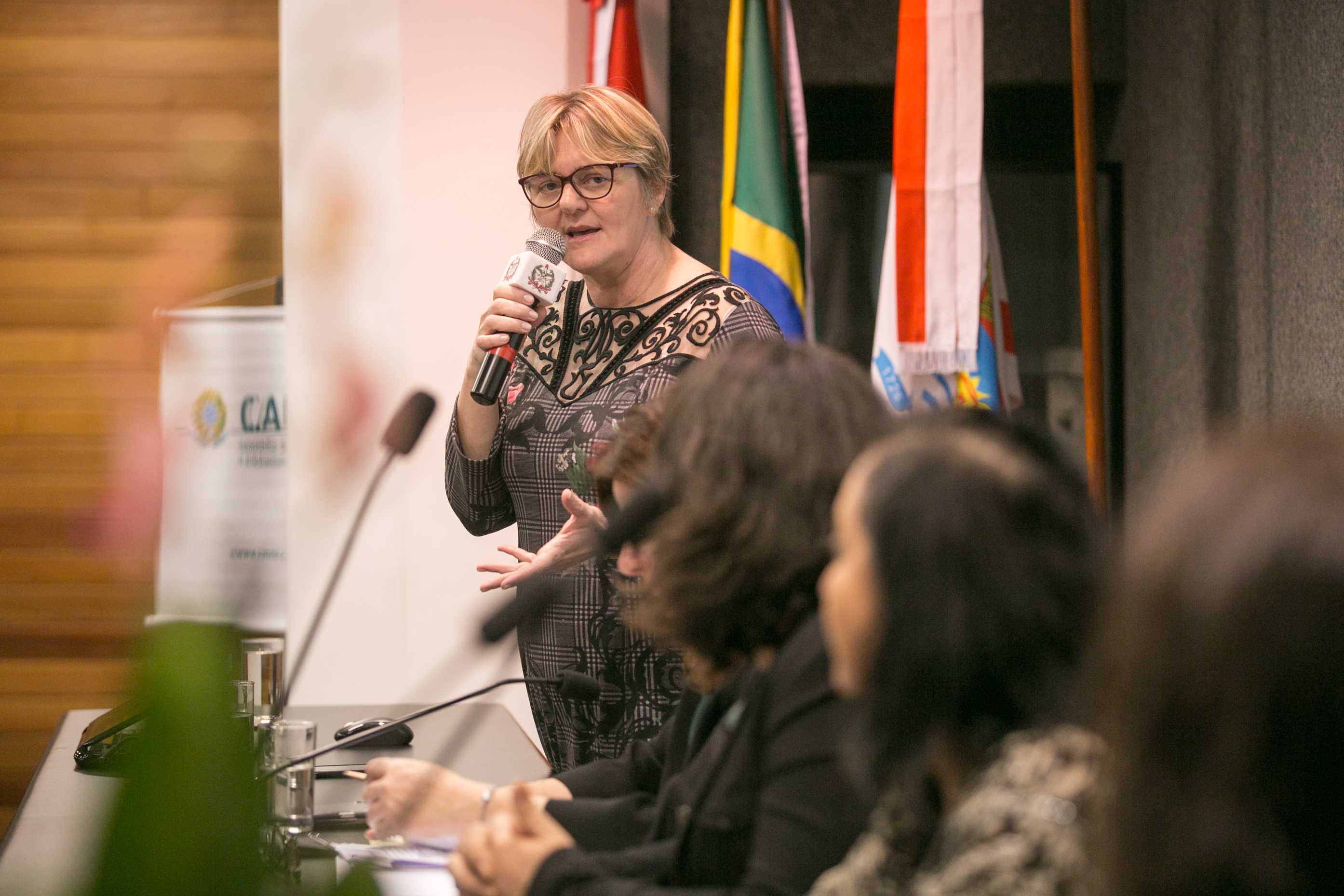Deputada Luciane Carminatti (PT)