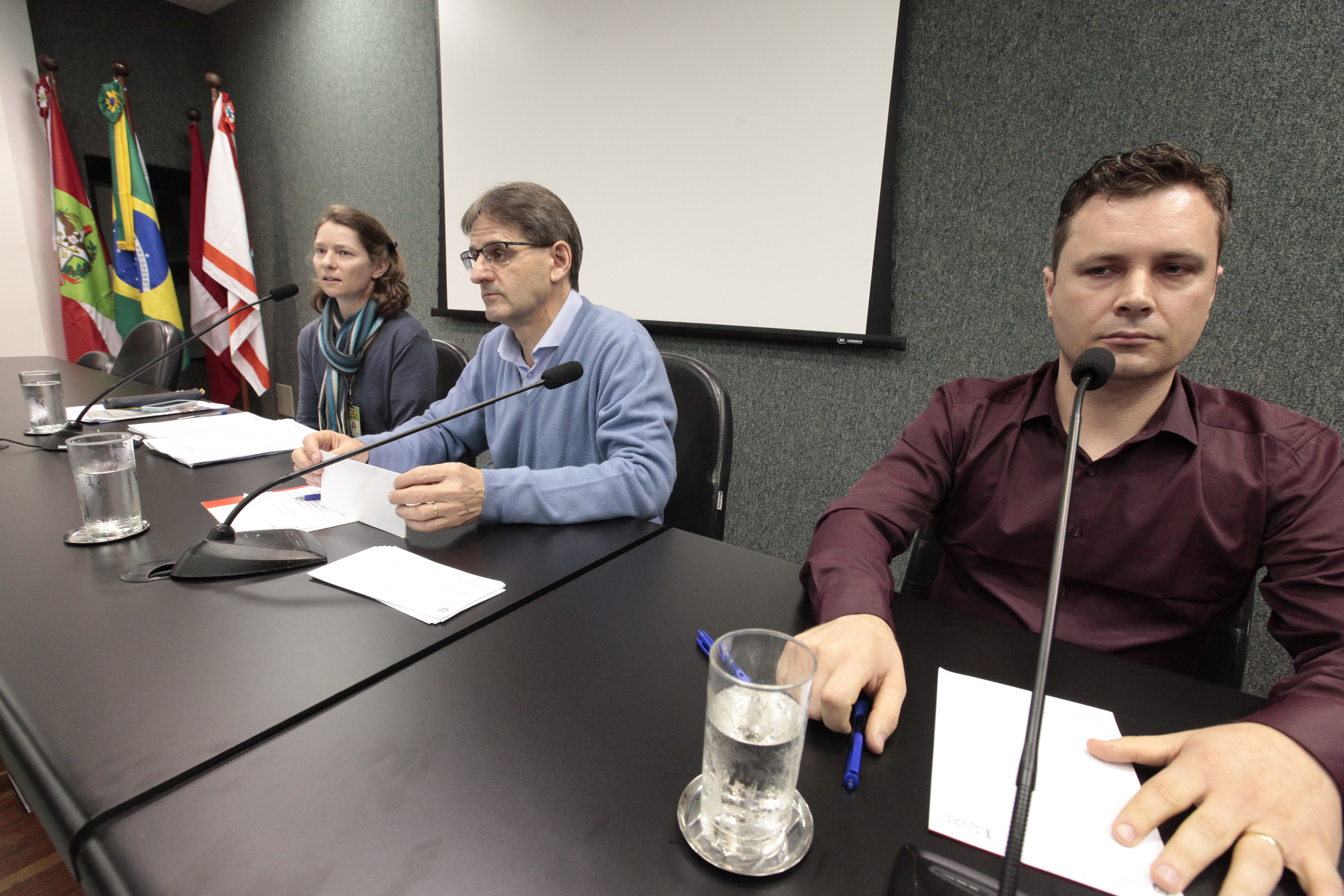 Reunião do Grupo de Trabalho Debate a Importância da Certificação para Uso da Flora Nativa