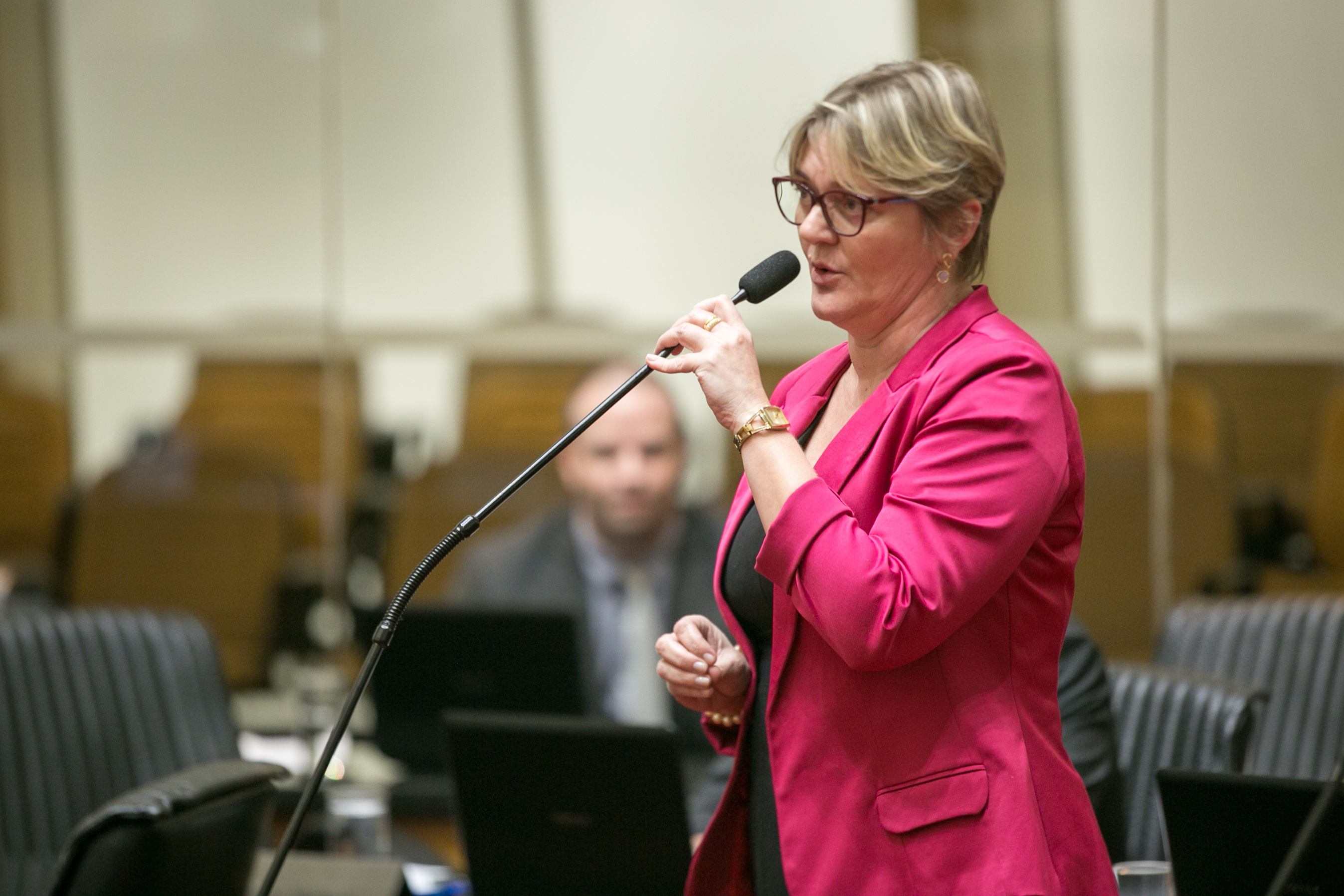 Deputada Luciane Carminatti (PT)