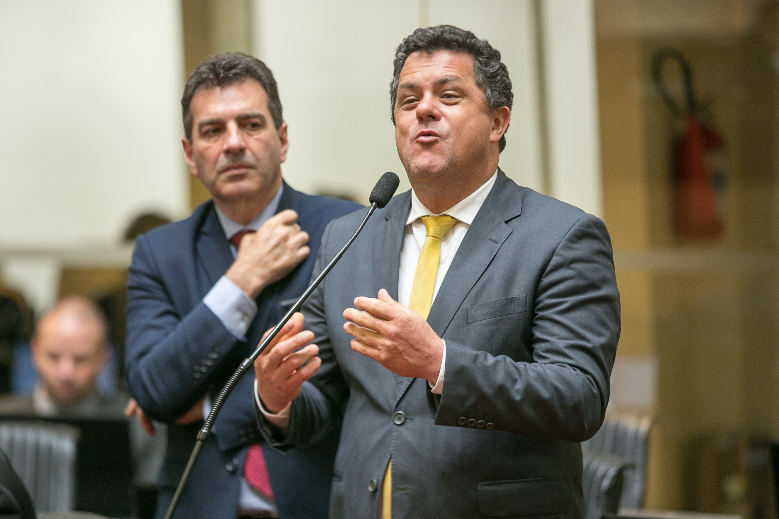 Deputado Ivan Naatz (PV)
