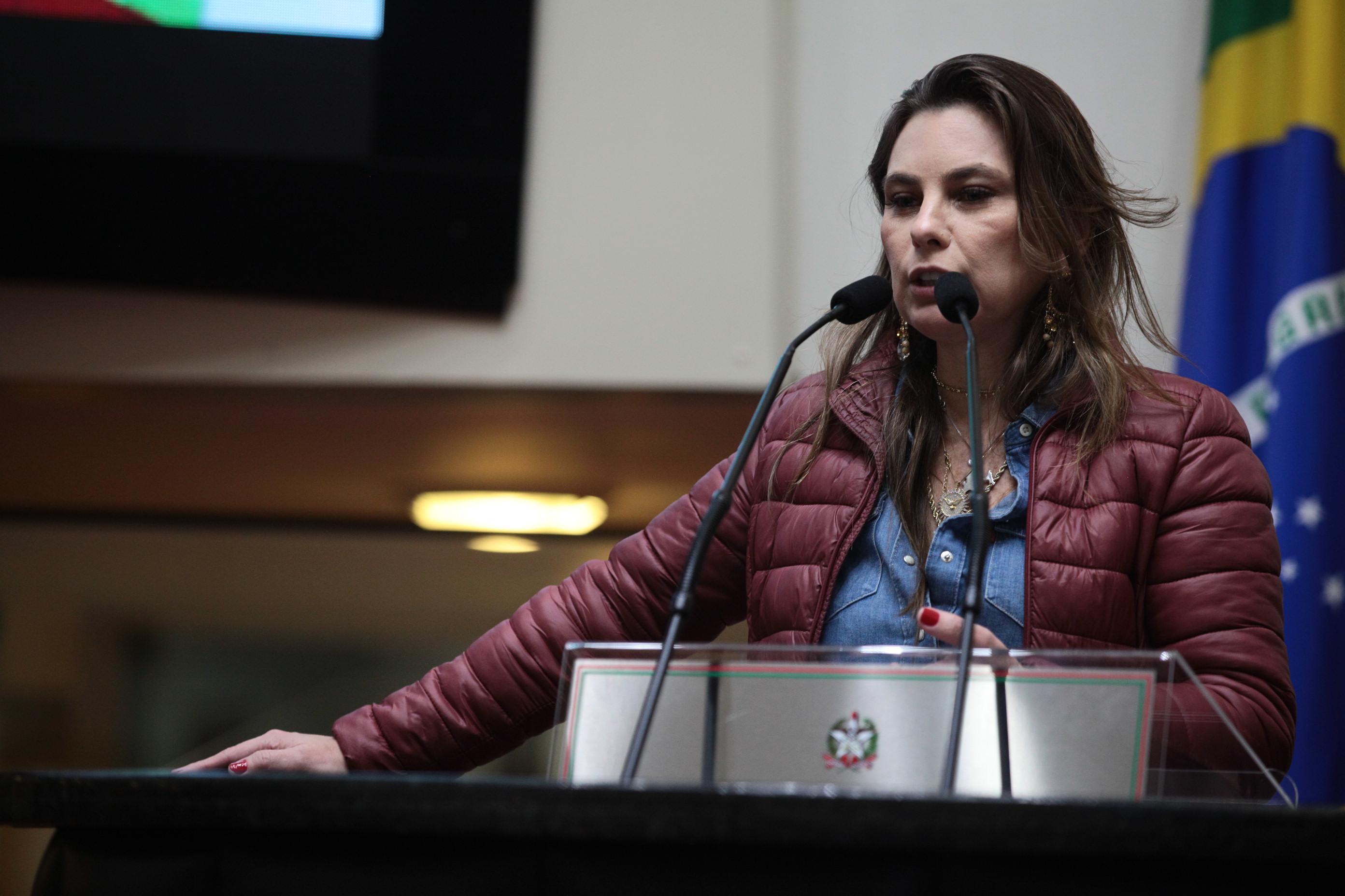 Sessão Plenária em 19/09/2019 - Deputada Ana Paula da Silva (PDT)