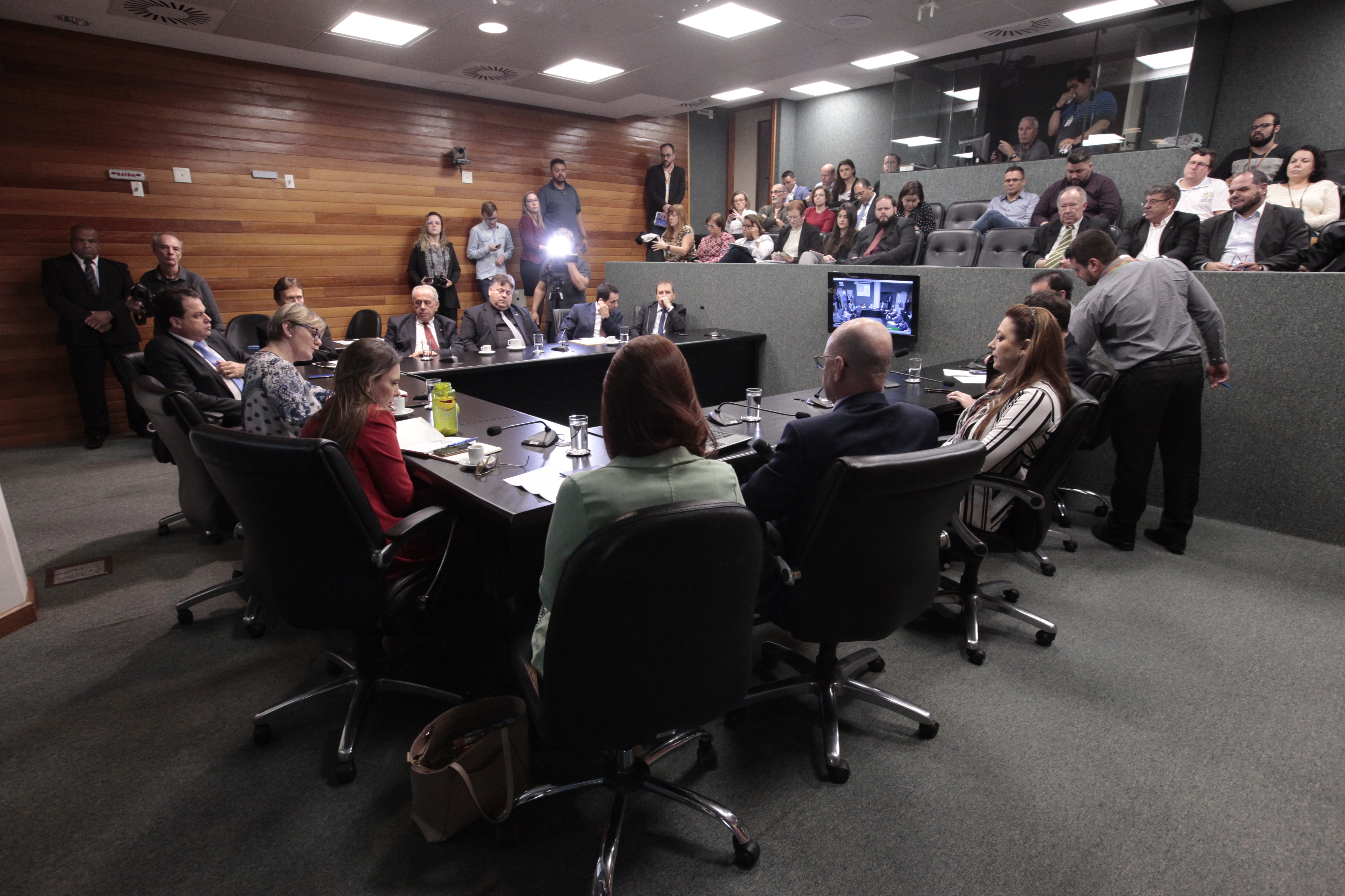Reunião Extraordinária da Comissão de Educação Cultura e Desporto