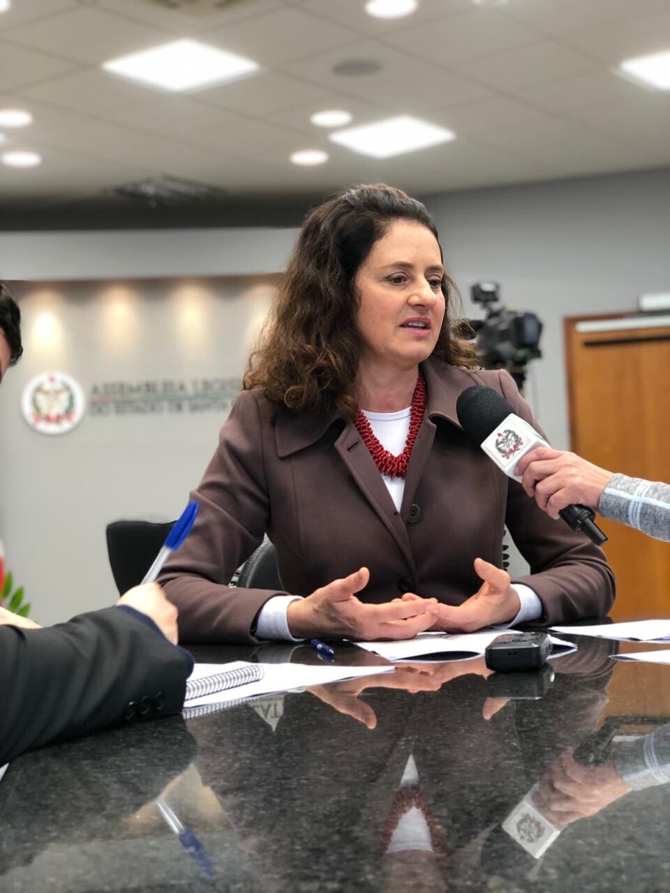 Deputada Marlene Fengler, presidente da Escola do Legislativo. FOTO: Divulgação