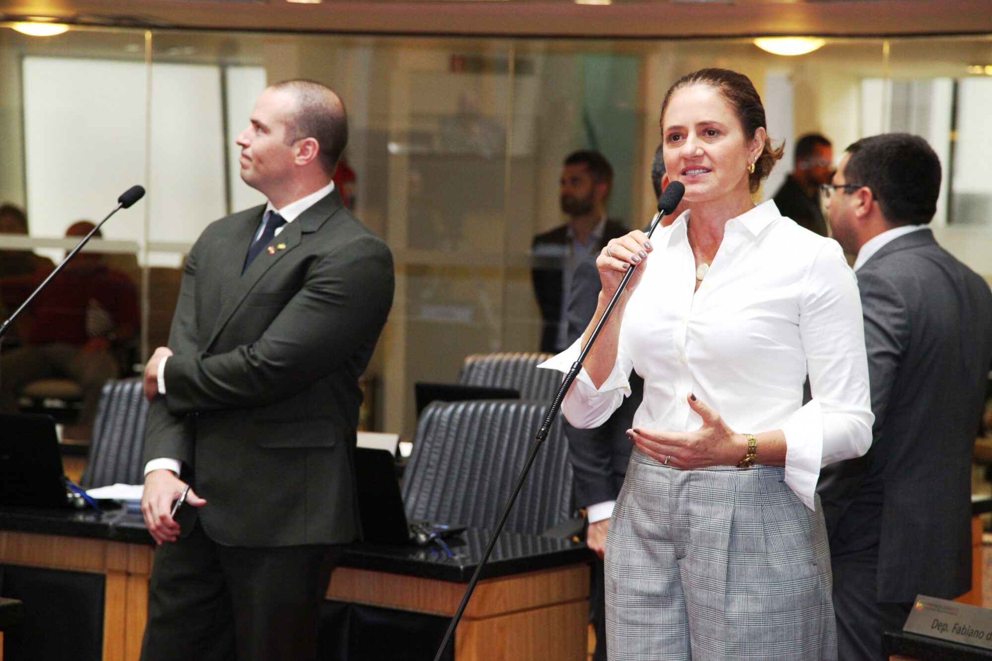 Deputada Marlene Fengler