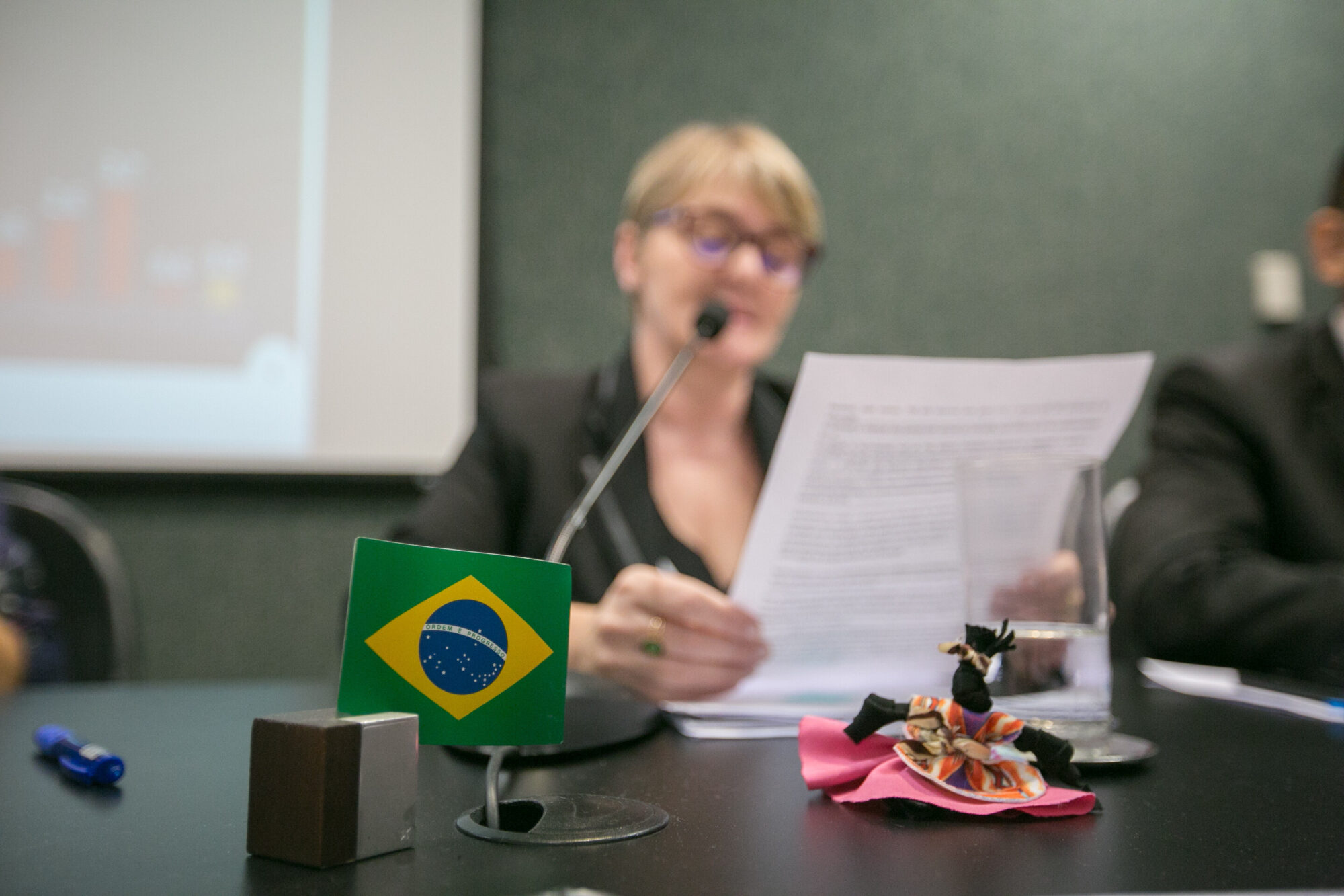 Deputada Luciane Carminatti FOTO: Divulgação
