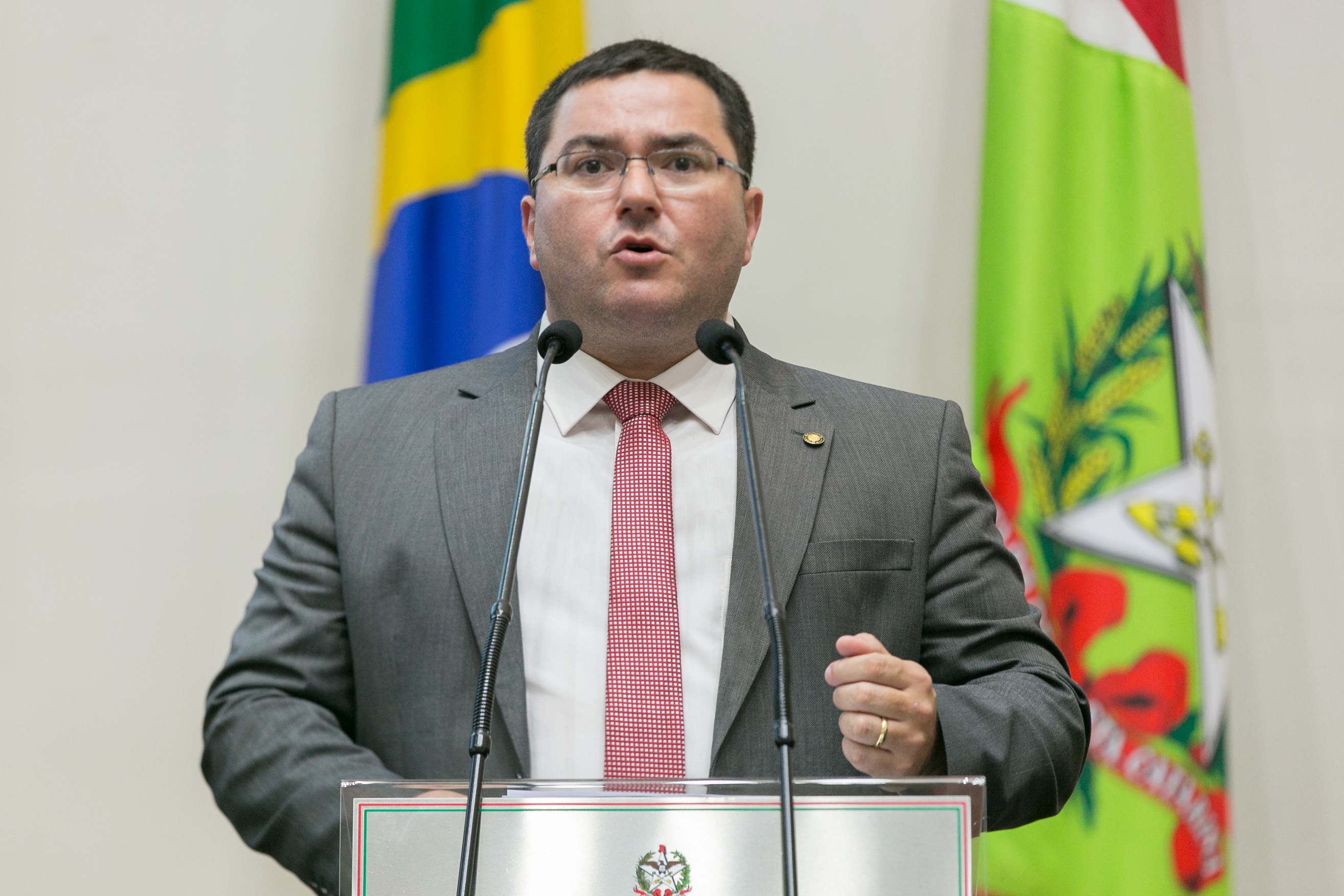 Deputado Ricardo Alba (PSL)