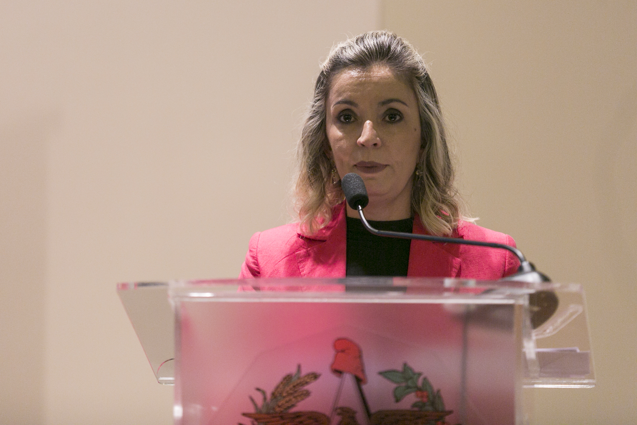DEBATE – XI Encontro Catarinense da Síndrome do X Frágil – Letícia S. Selau