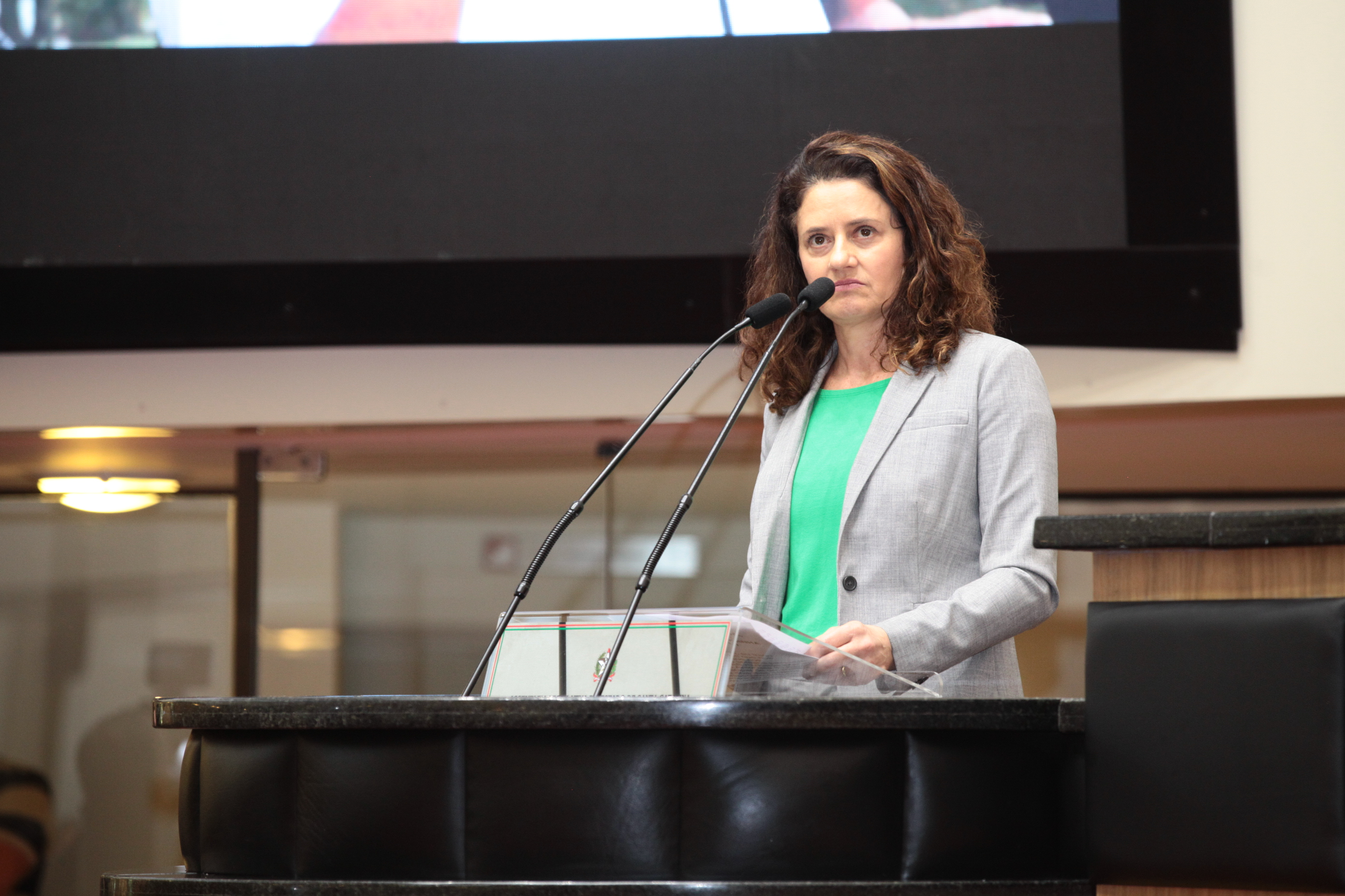 Sessão Ordinária - Deputada Marlene Fengler (PSD)