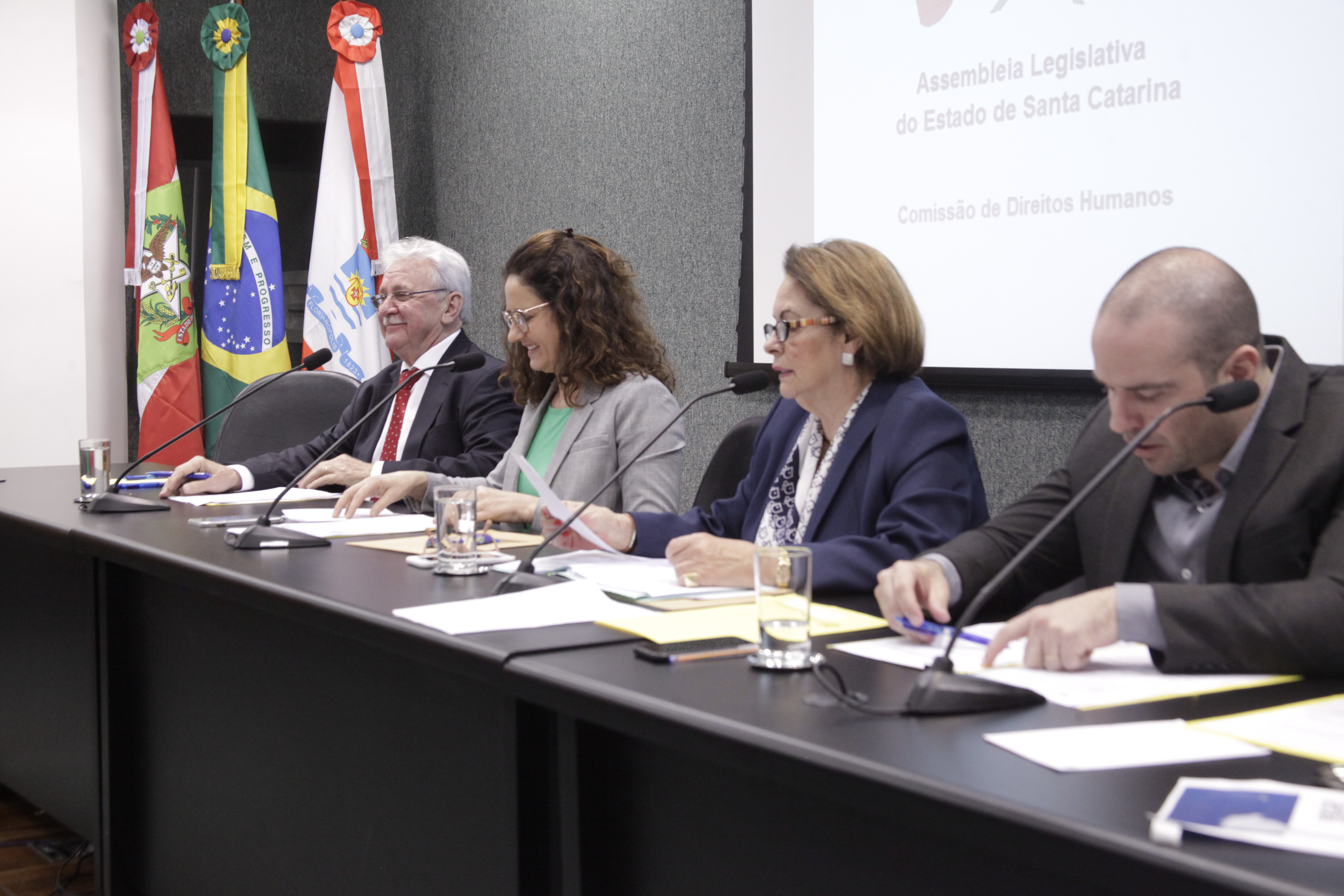 Comissão de Direitos Humanos