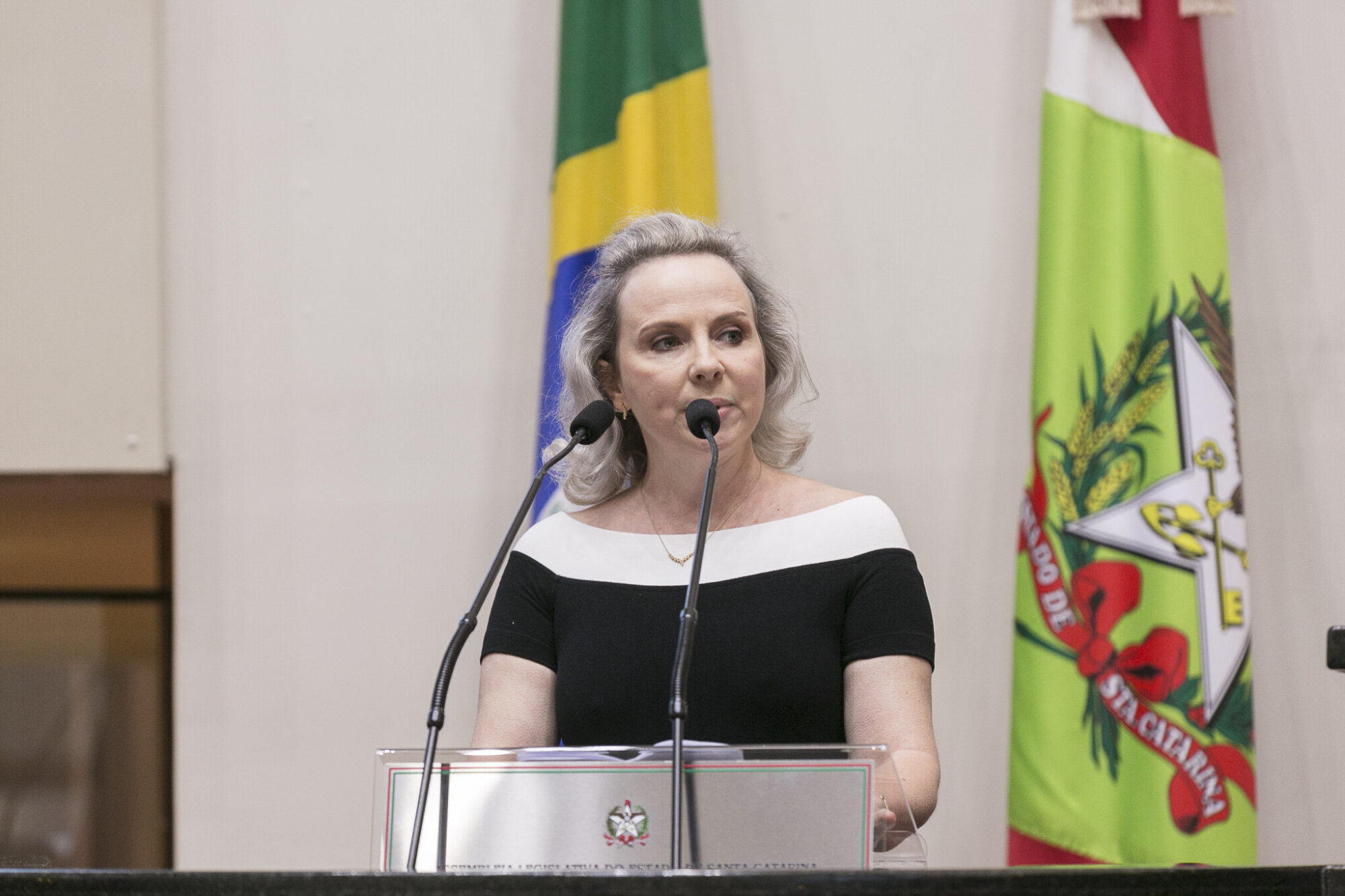 SCP divulga campanha Nascimento Seguro na tribuna da Assembleia