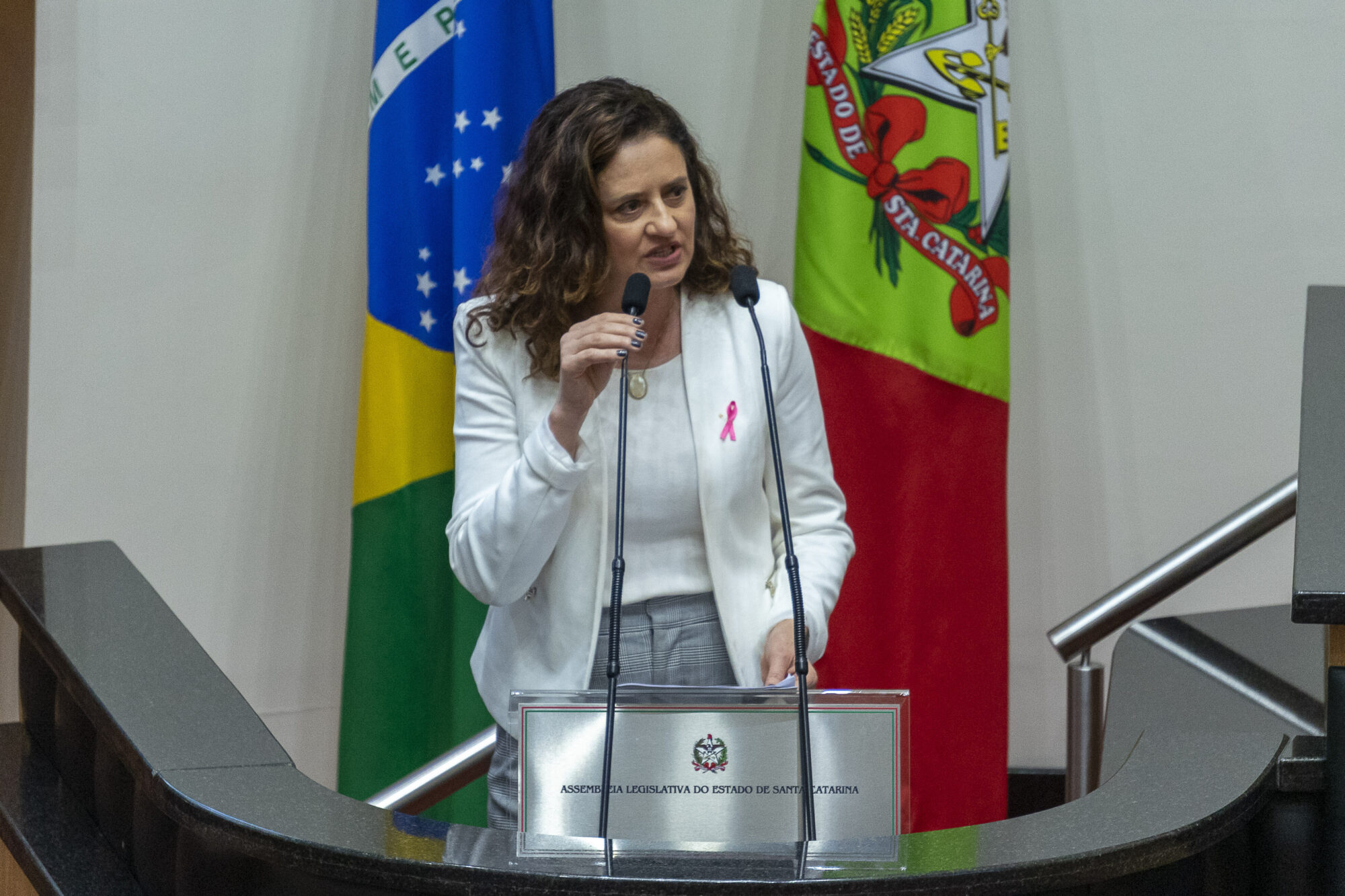 Deputada Marlene Fengler