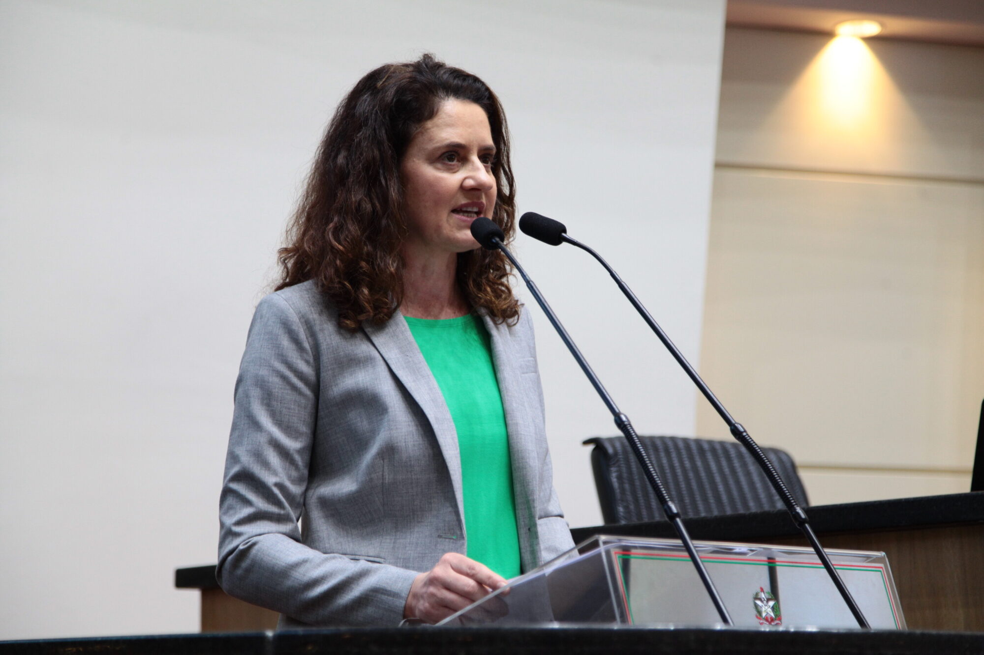 Deputada Marlene Fengler
